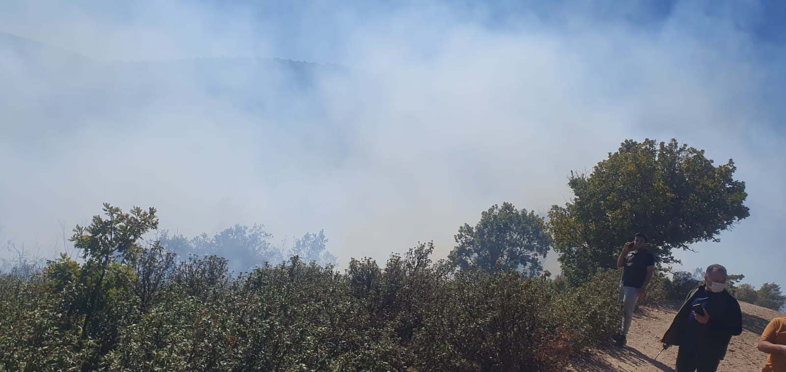 Konya'da orman yangını kısa sürede söndürüldü - Görsel 3