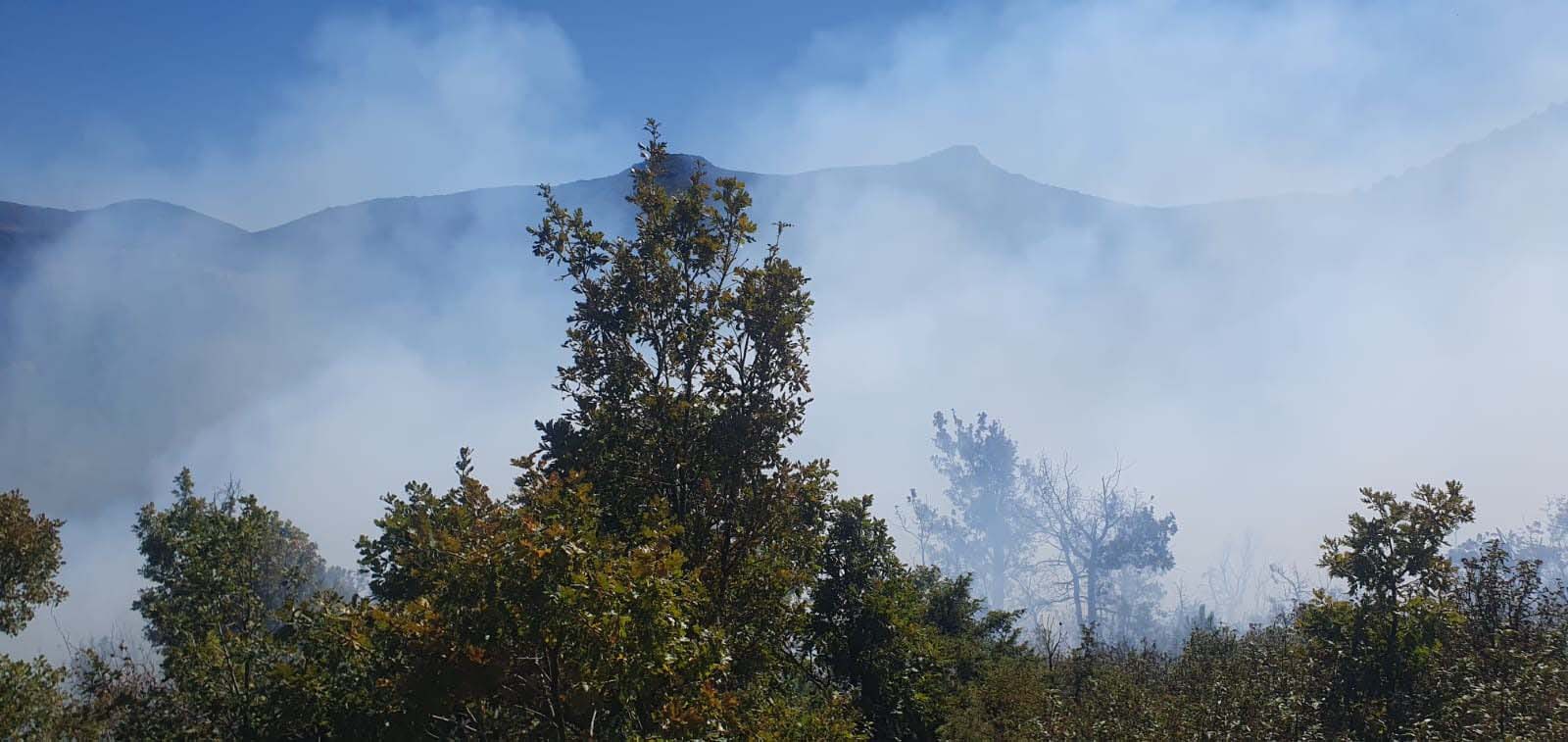 Konya'da orman yangını kısa sürede söndürüldü - Görsel 4