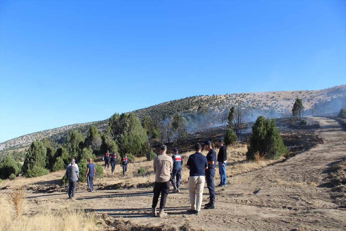 KONYA - Orman yangınında 40 dönüm alan zarar gördü - Görsel 2