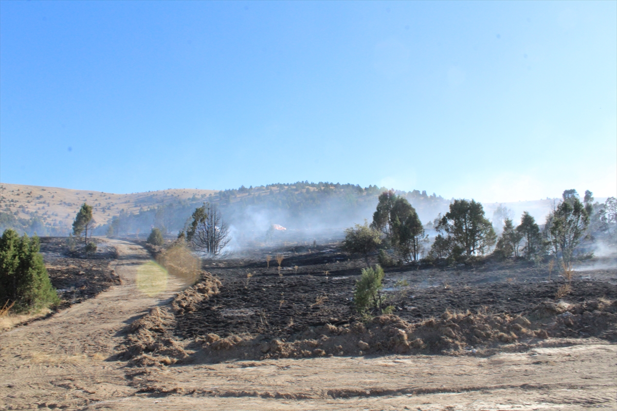 KONYA - Orman yangınında 40 dönüm alan zarar gördü - Görsel 3