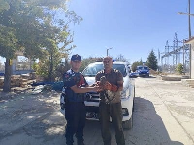 Konya Jandarması'ndan Kapsamlı Operasyonlar: Çok Sayıda Aranan Şahıs Yakalandı, Yasadışı Silah ve Uyuşturucu Ele Geçirildi - Görsel 1