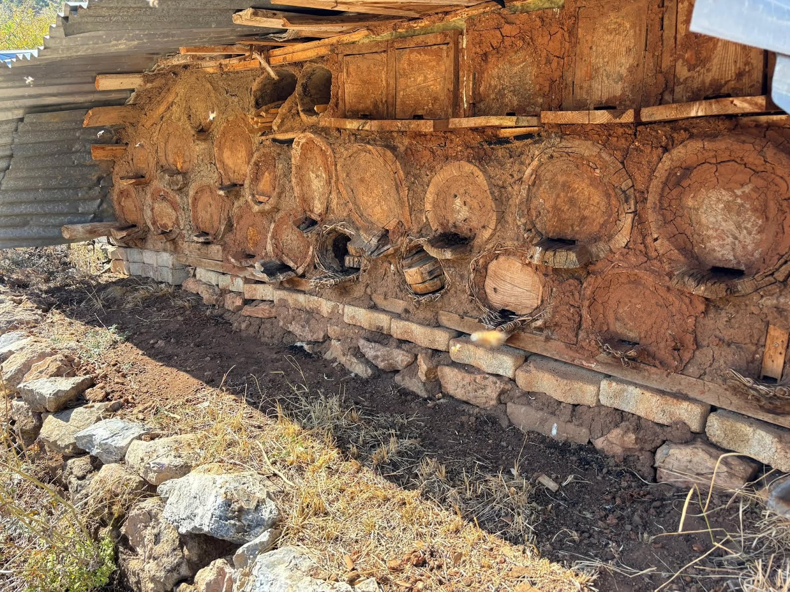 İl Müdürü Seçen, Bozkır'da Karakovan Balı Hasadına Katıldı - Görsel 1
