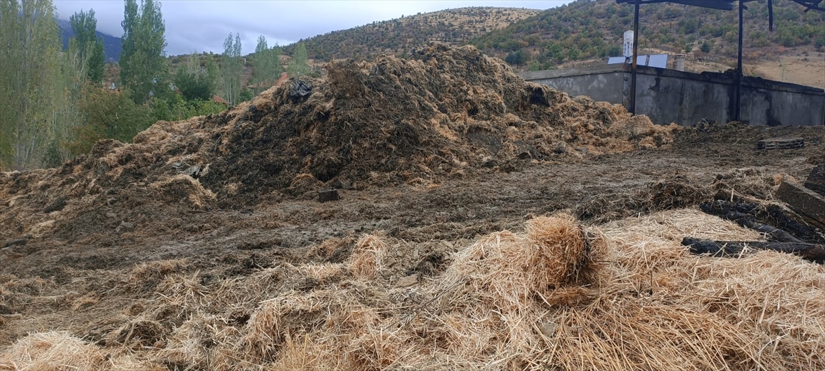 Seydişehirde çıkan samanlık yangınında 2 kişi yaralandı. - Görsel 2