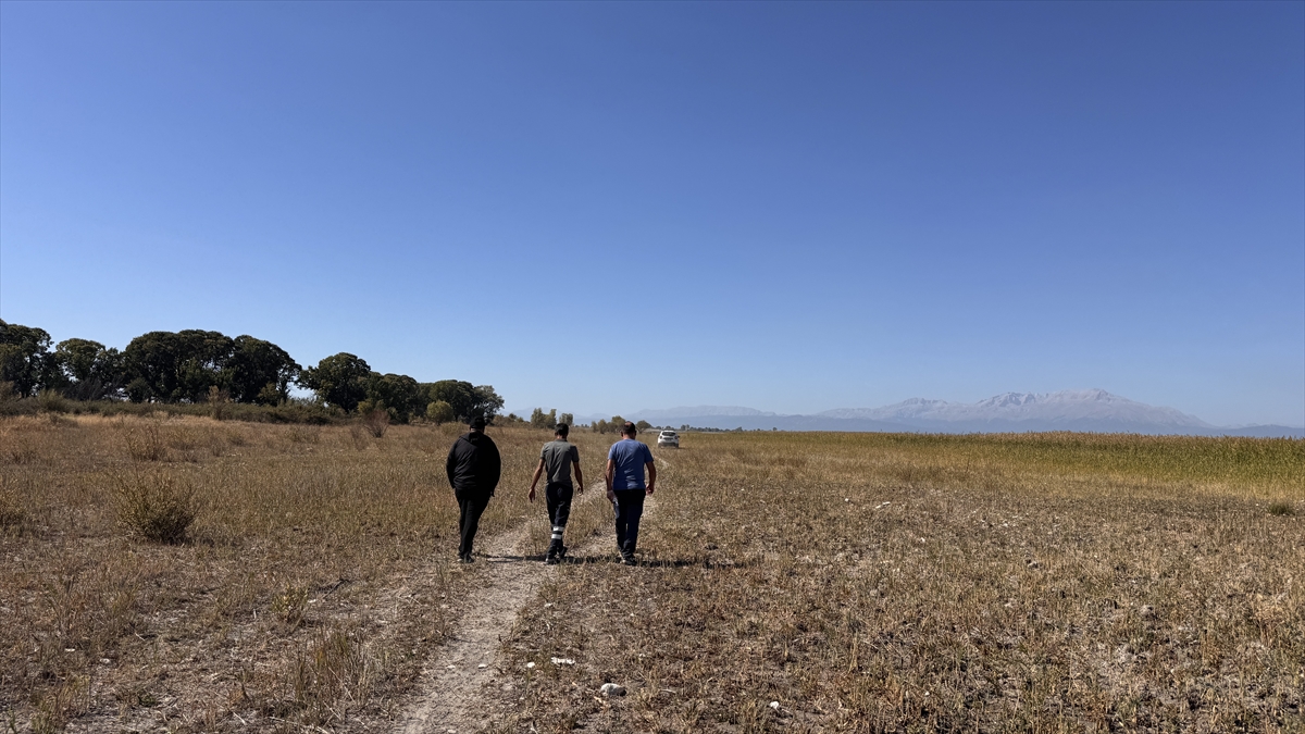 KONYA - Beyşehir Gölü'nde kuraklık nedeniyle Kıstıfan Adası karayla birleşti ve adacık sayısı arttı - Görsel 4