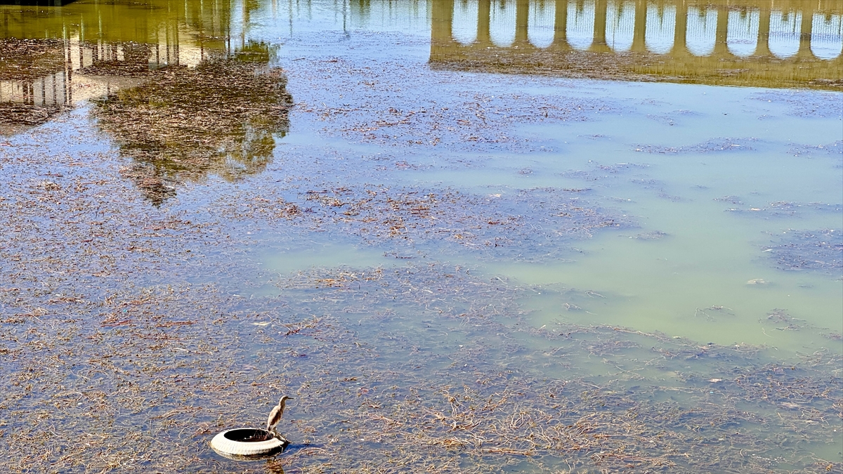 KONYA - Beyşehir Gölü'nde kuraklık nedeniyle Kıstıfan Adası karayla birleşti ve adacık sayısı arttı - Görsel 6