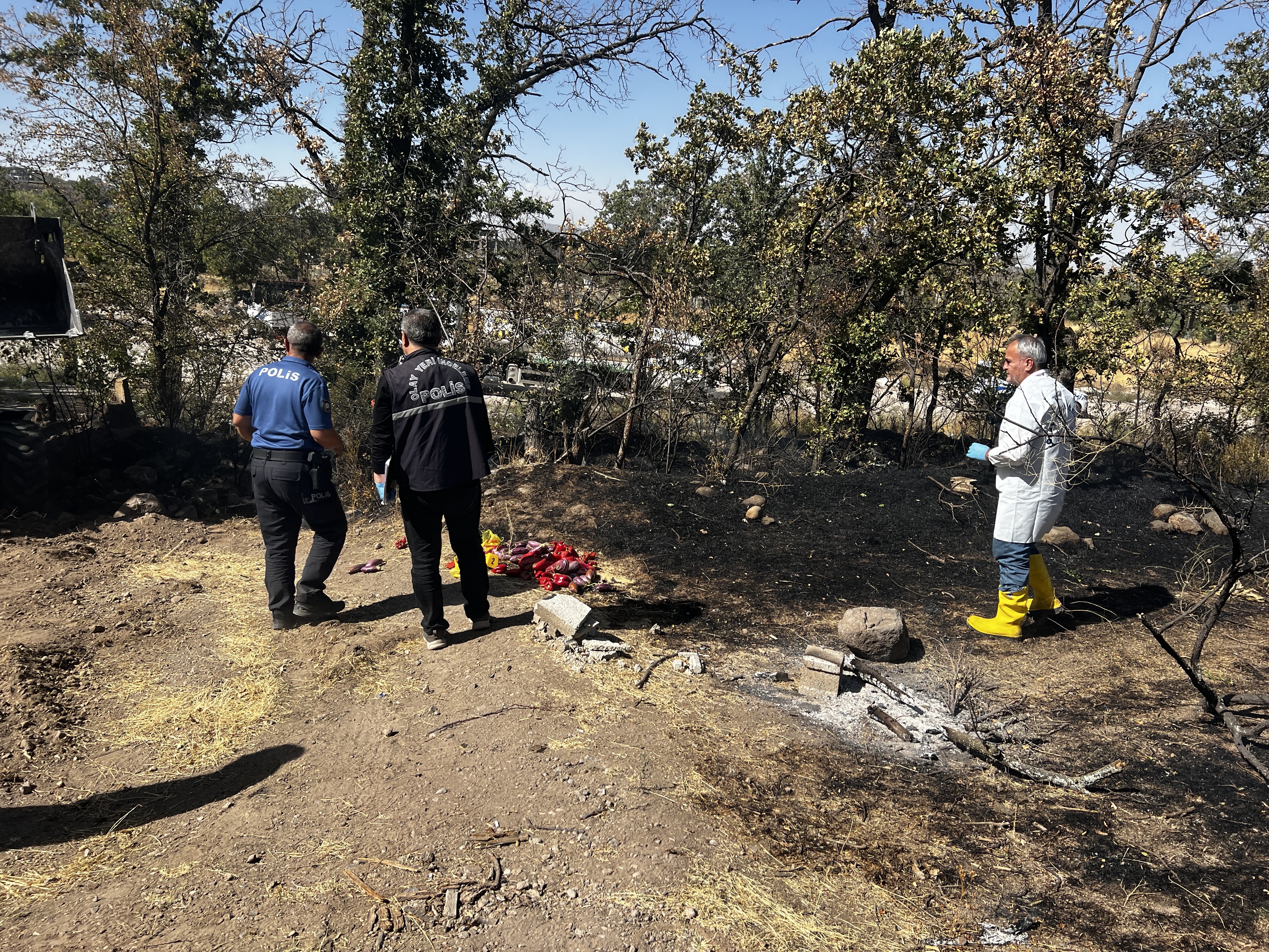  Kayseri'de Patlıcan ve biber közlerken dağdaki otluk araziyi yaktı - Görsel 8