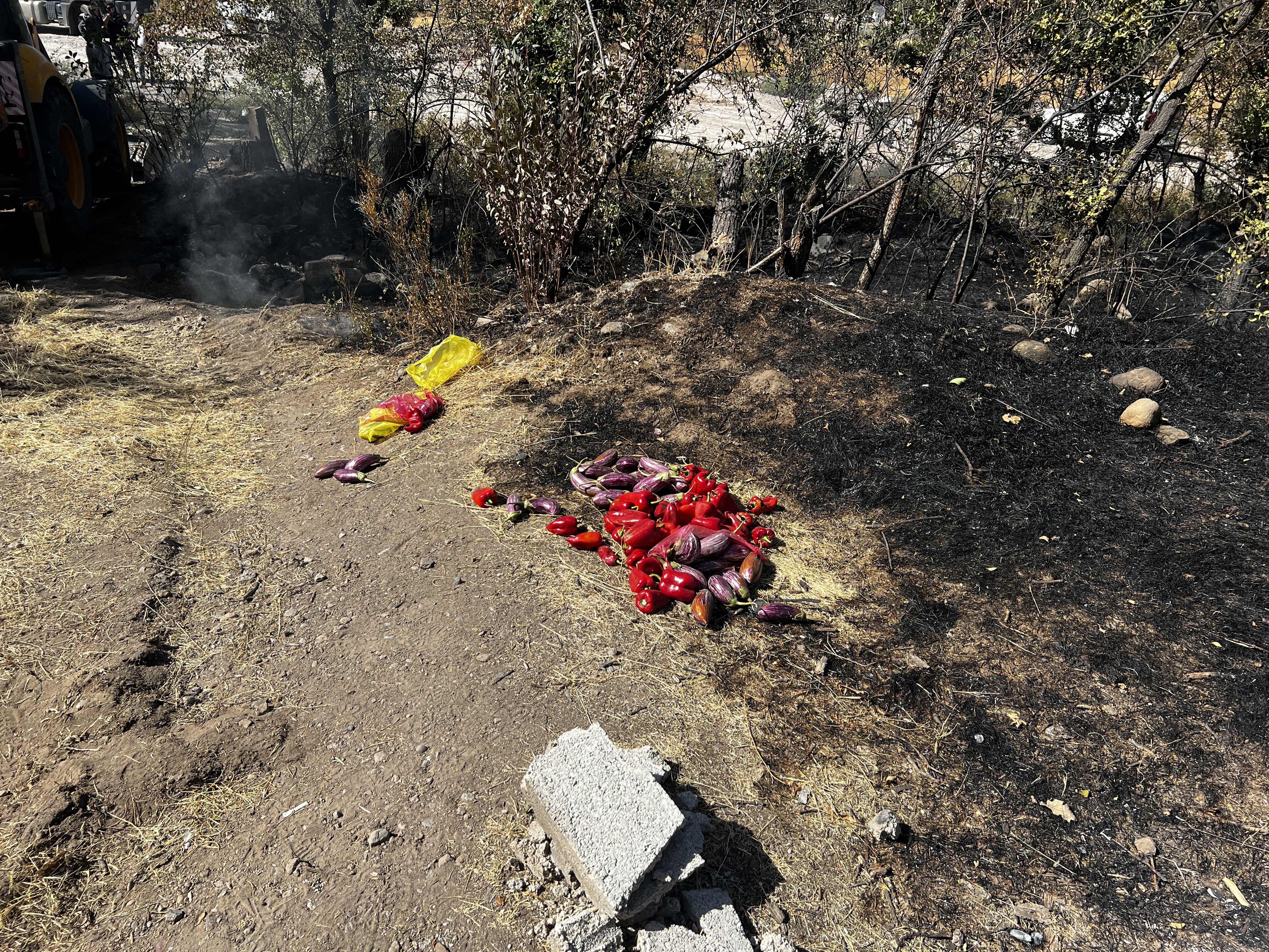  Kayseri'de Patlıcan ve biber közlerken dağdaki otluk araziyi yaktı - Görsel 10