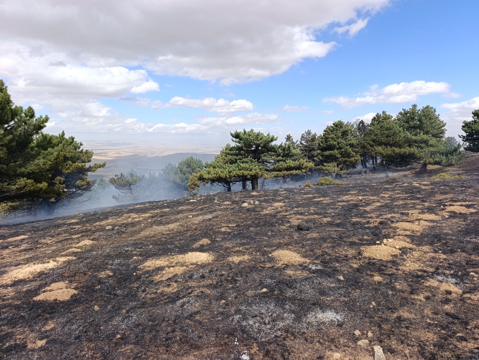 Konya'nın Kadınhanı ilçesinde orman yangını kontrol altına alındı - Görsel 4