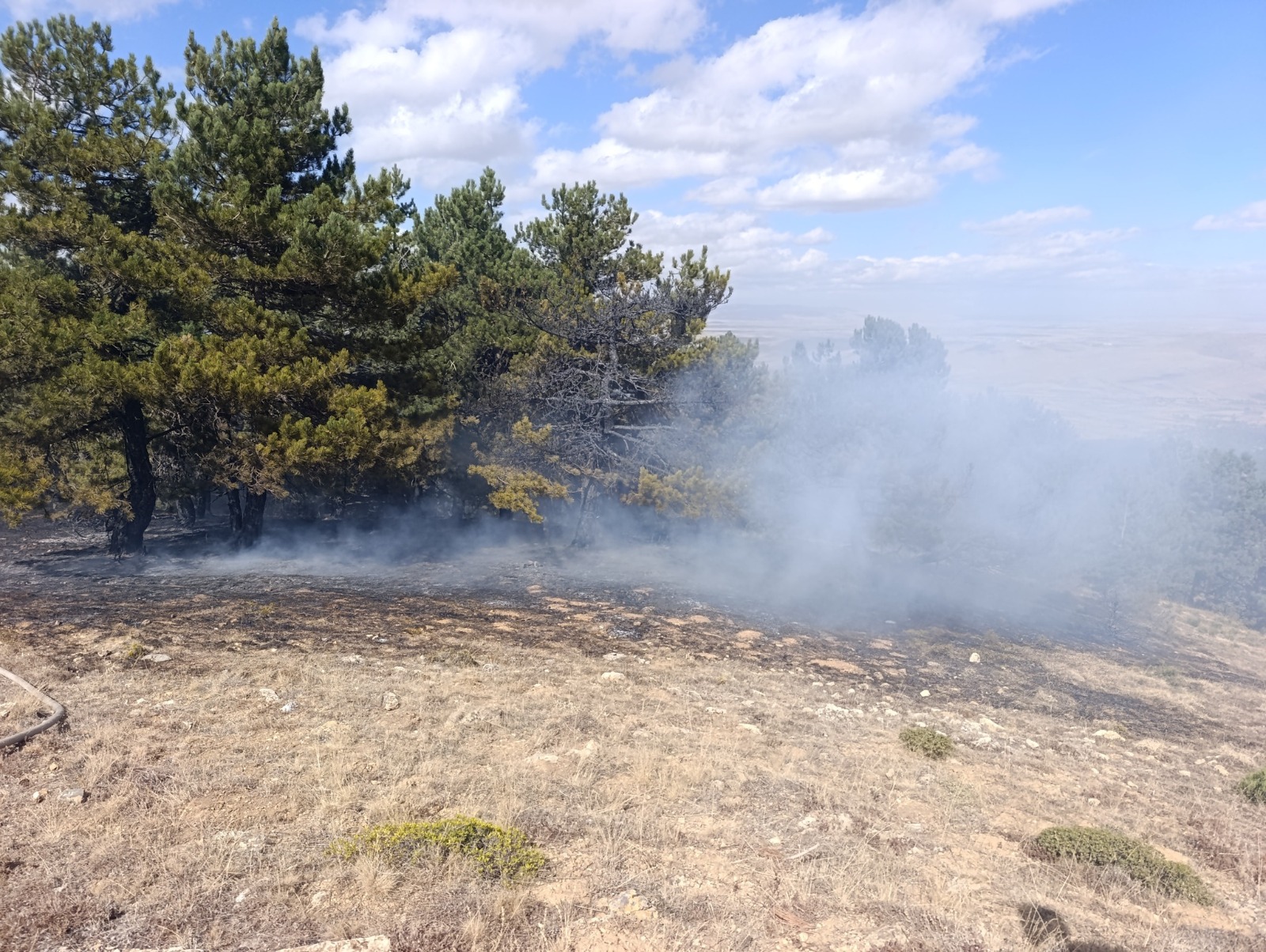 Konya'nın Kadınhanı ilçesinde orman yangını kontrol altına alındı - Görsel 5