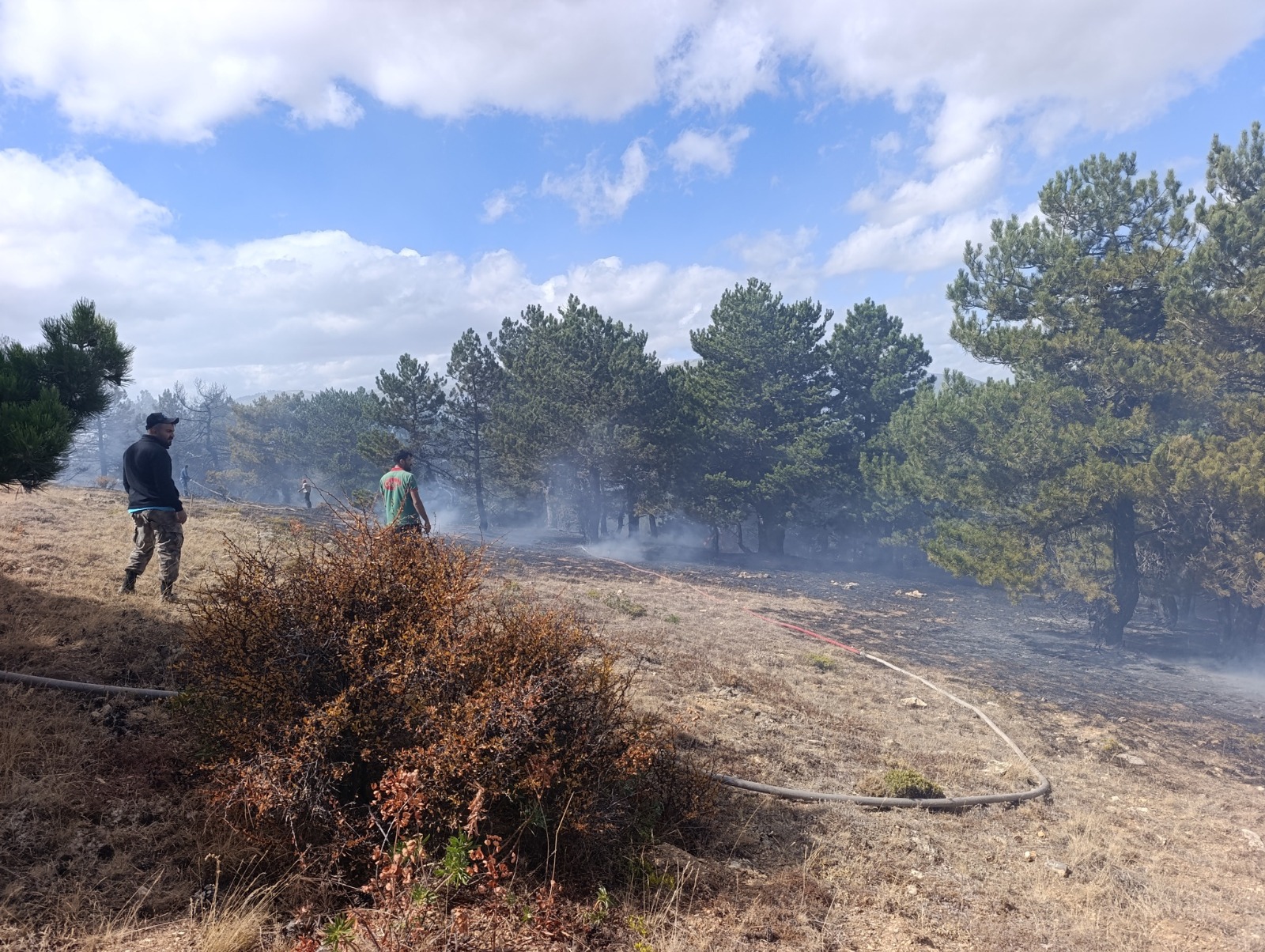 Konya'nın Kadınhanı ilçesinde orman yangını kontrol altına alındı - Görsel 6