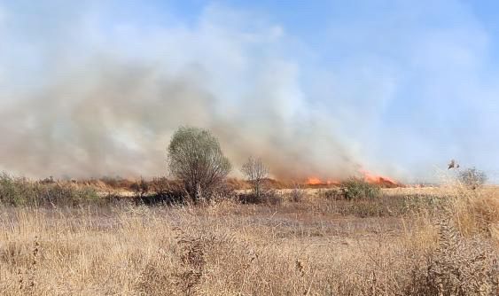 Seydişehir’de Anız Yangını Paniği: Alevler Kontrol edilmeye  çalışılıyor  - Görsel 1