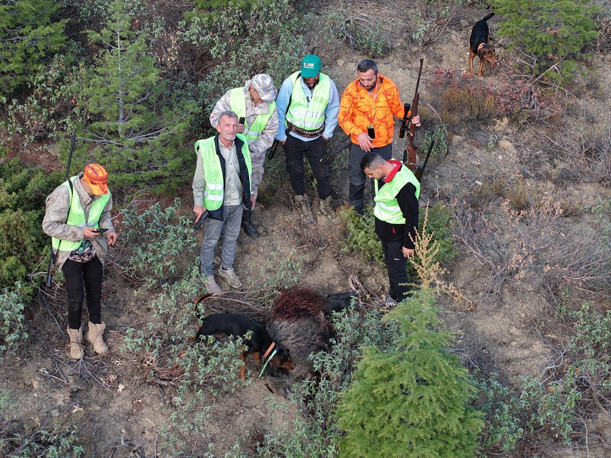 Konya'nın Hüyük ilçesinde  sürek   avında   40 domuz avlandı - Görsel 5