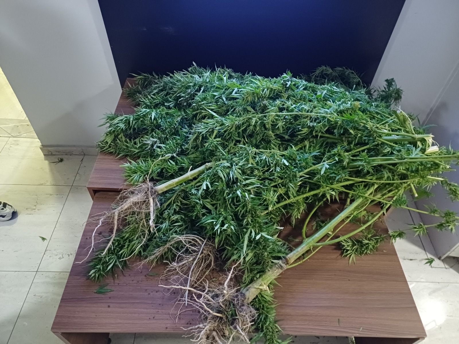 KONYA NARKOTİK POLİSİ ZEHİR TACİRLERİNE GÖZ AÇTIRMIYOR: 282 TUTUKLAMA - Görsel 7