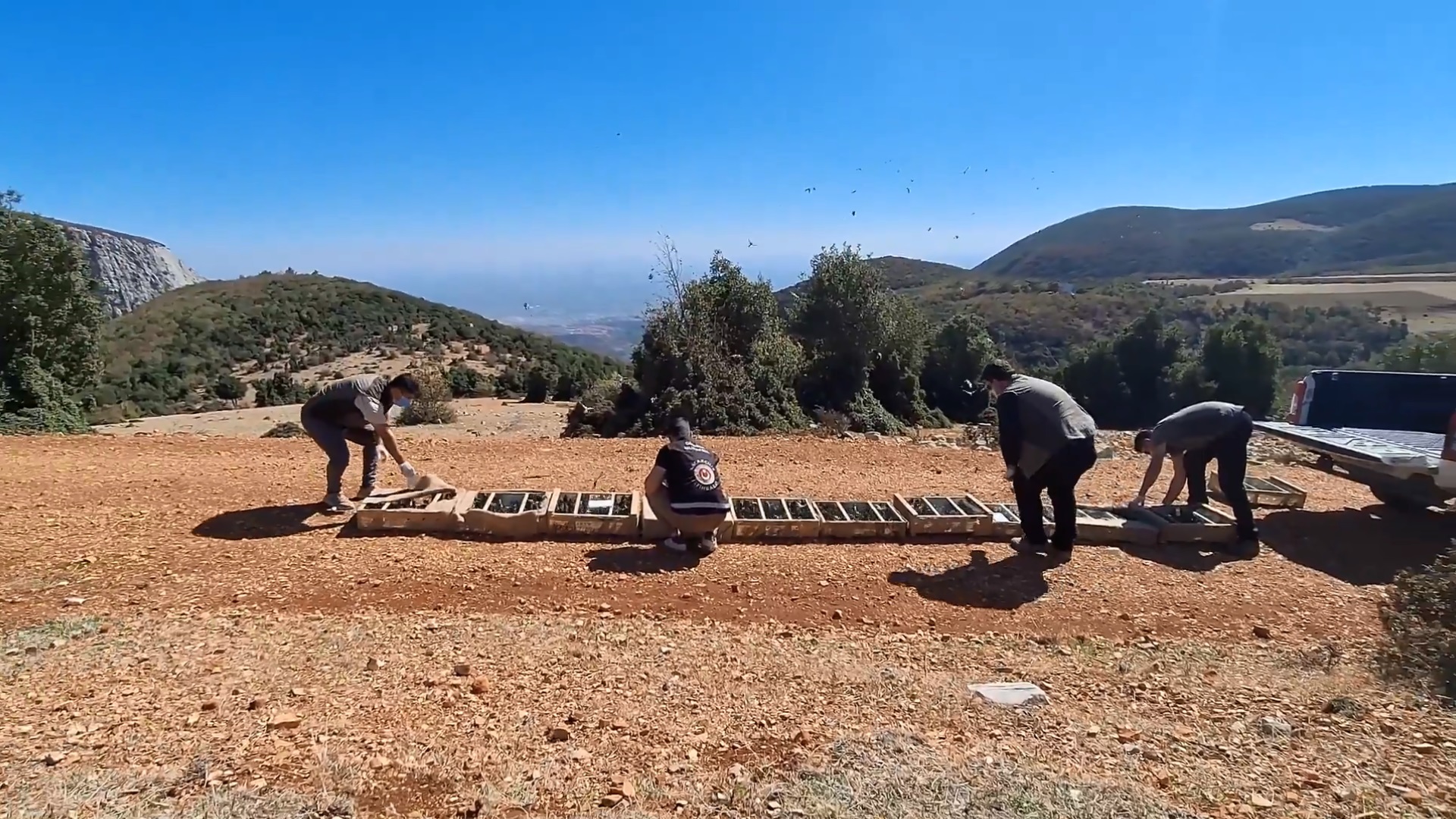 Saka kuşu kaçakçılığına 10 milyon 897 bin lira ceza - Görsel 4