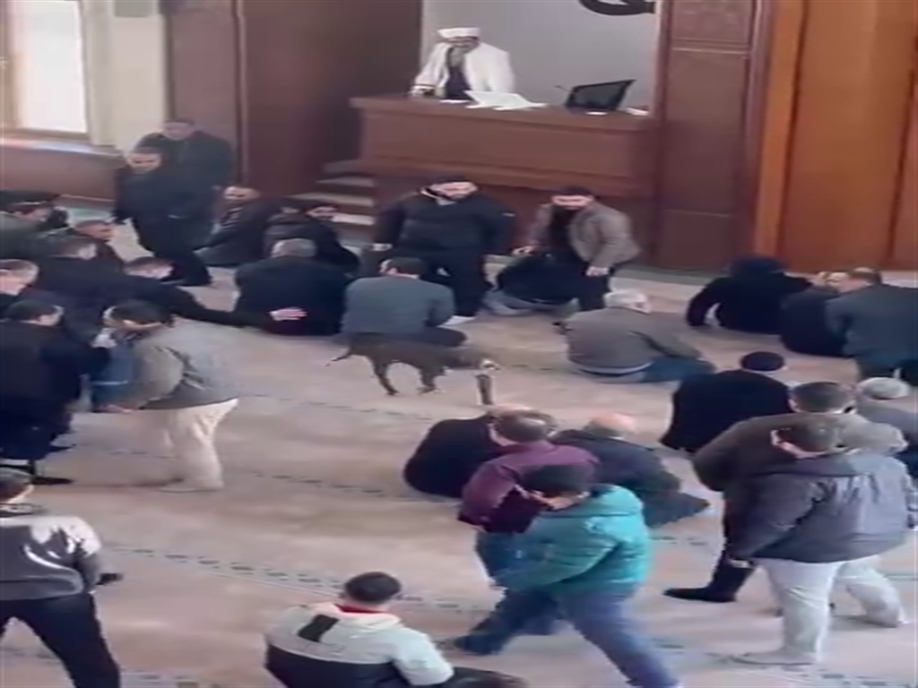 Cuma vaazı sırasında camiye pitbullun girdiği anlar kamerada - Görsel 1