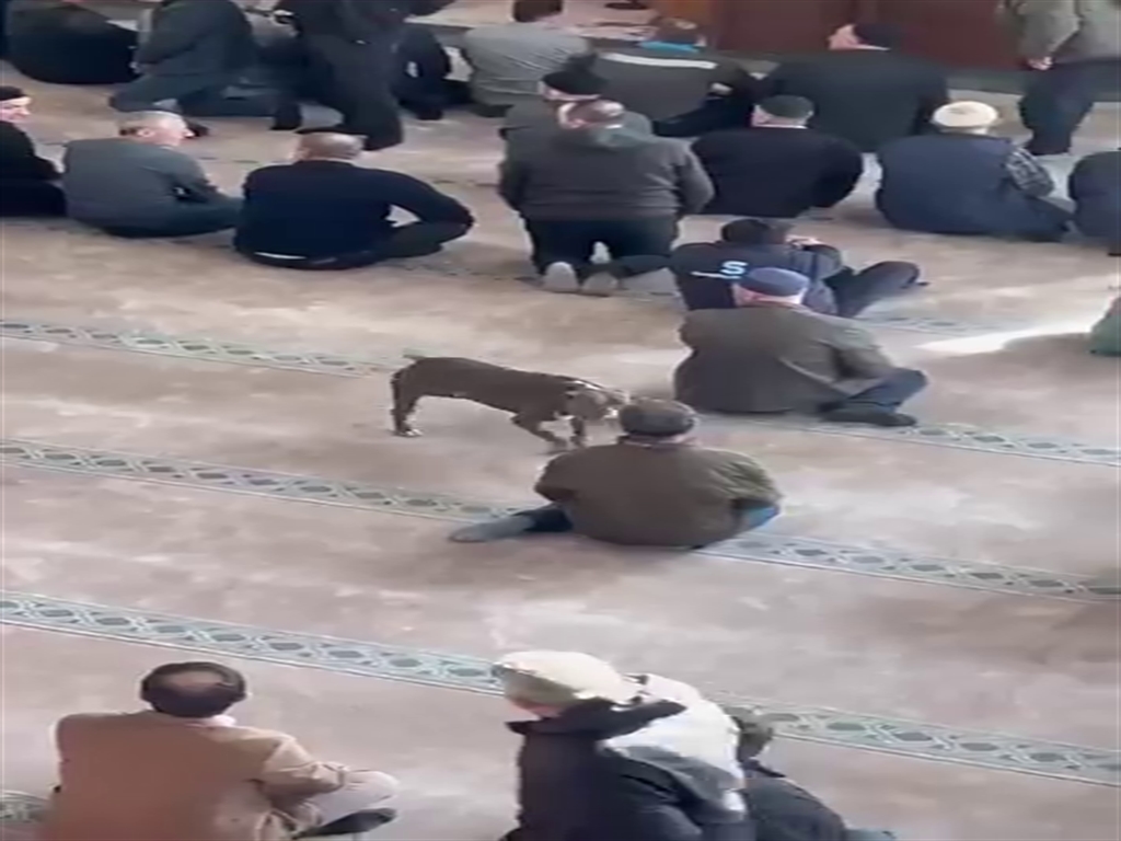 Cuma vaazı sırasında camiye pitbullun girdiği anlar kamerada - Görsel 2