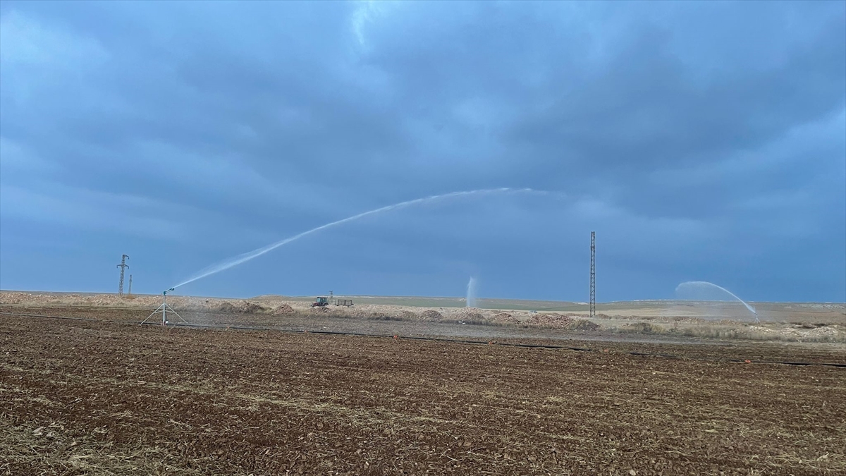 Konya Ovası'nda iklim dostu tarım modeli hayata geçiriliyor - Görsel 1