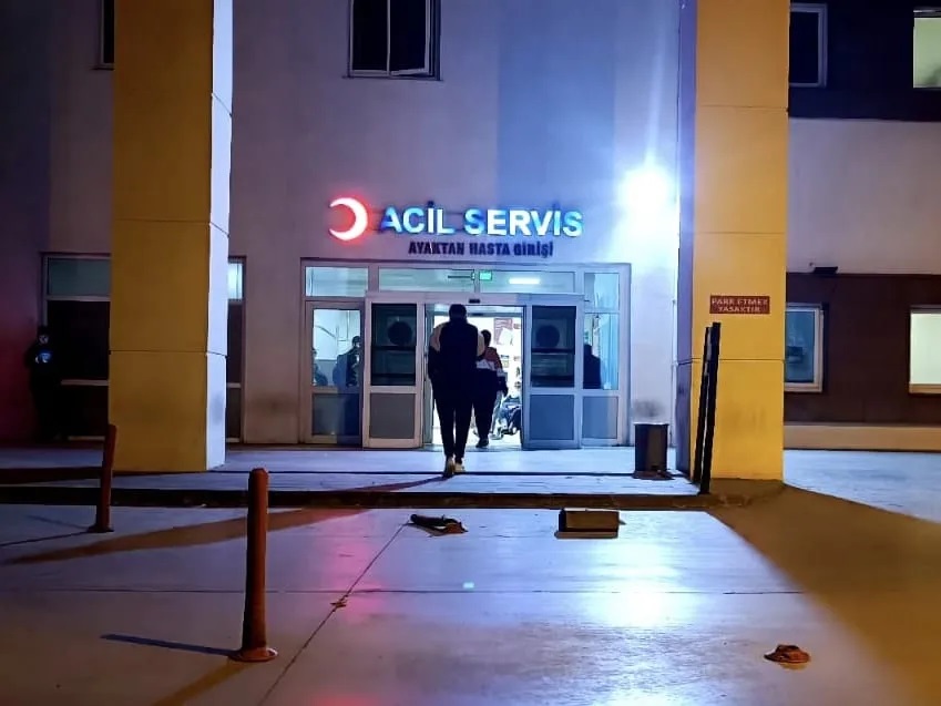 Mardin’de 2 kız kardeş evde silahla vurulmuş halde ölü bulundu - Görsel 2