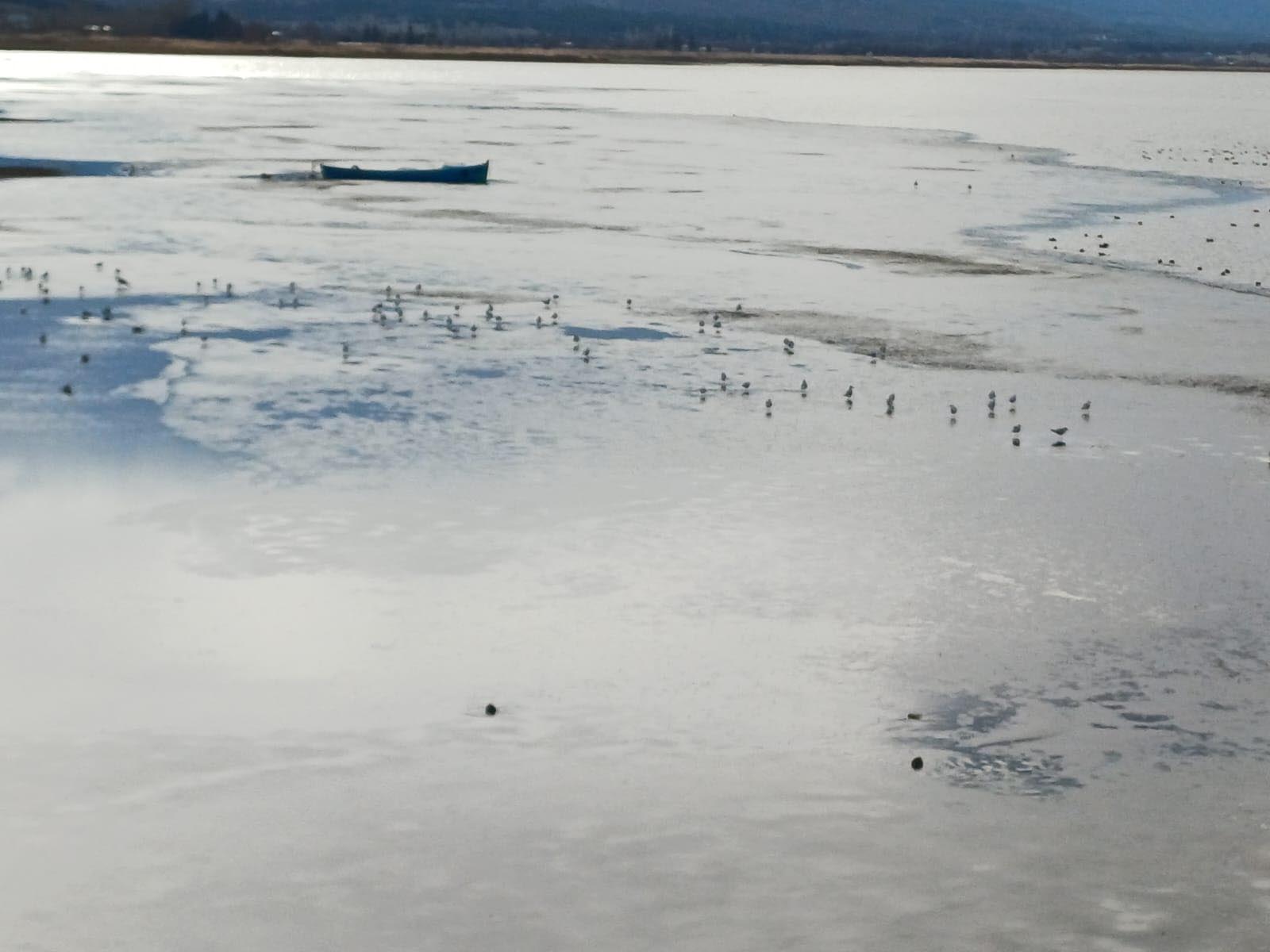 Beyşehir Gölü’nün yüzeyi buz tuttu - Görsel 5