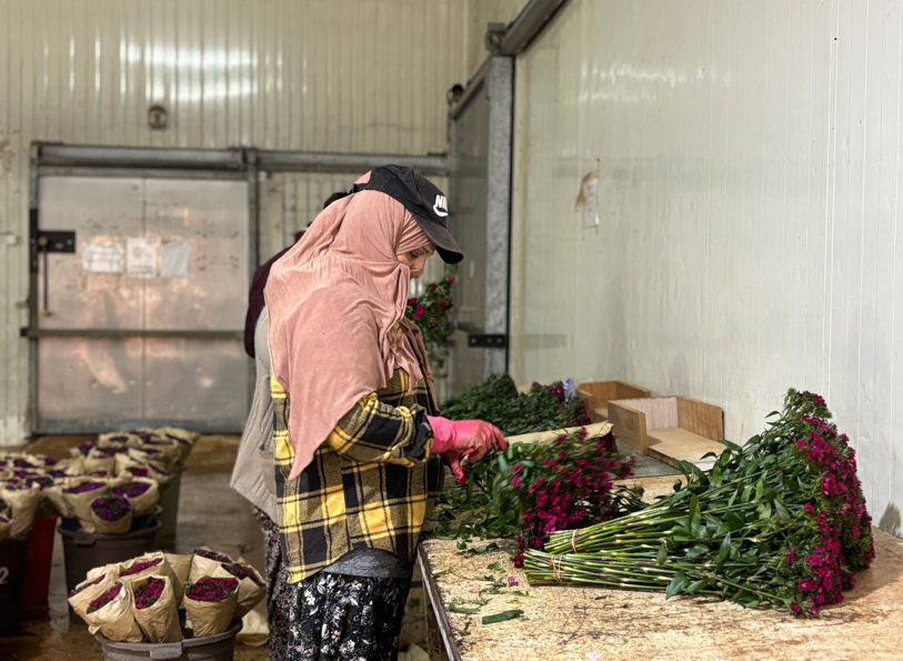 Antalya'da üretilen 850 milyon dal çiçeğin yüzde 75'i ihraç edildi - Görsel 4