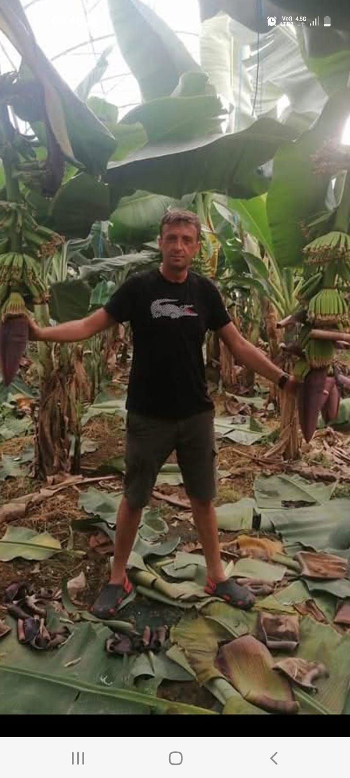 Araçta yanmış cesedi bulunmuştu, öldürüldüğü ortaya çıktı - Görsel 2