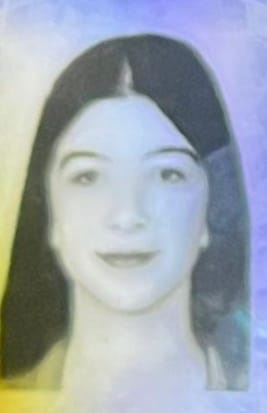 Bursa'da otomobil ağaca çarptı: 2 ölü, 2 yaralı - Görsel 1