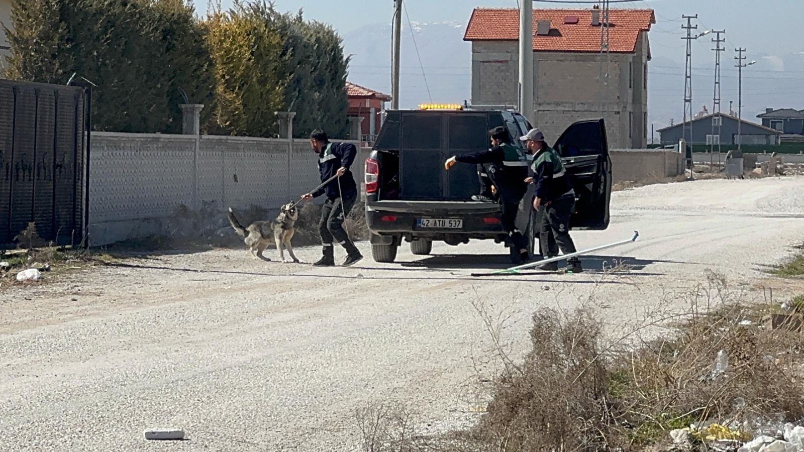  Konya'da Rana'nın köpek saldırısında ölümüne ilişkin 2 belediye yetkilisi hakkında soruşturma izni - Görsel 1