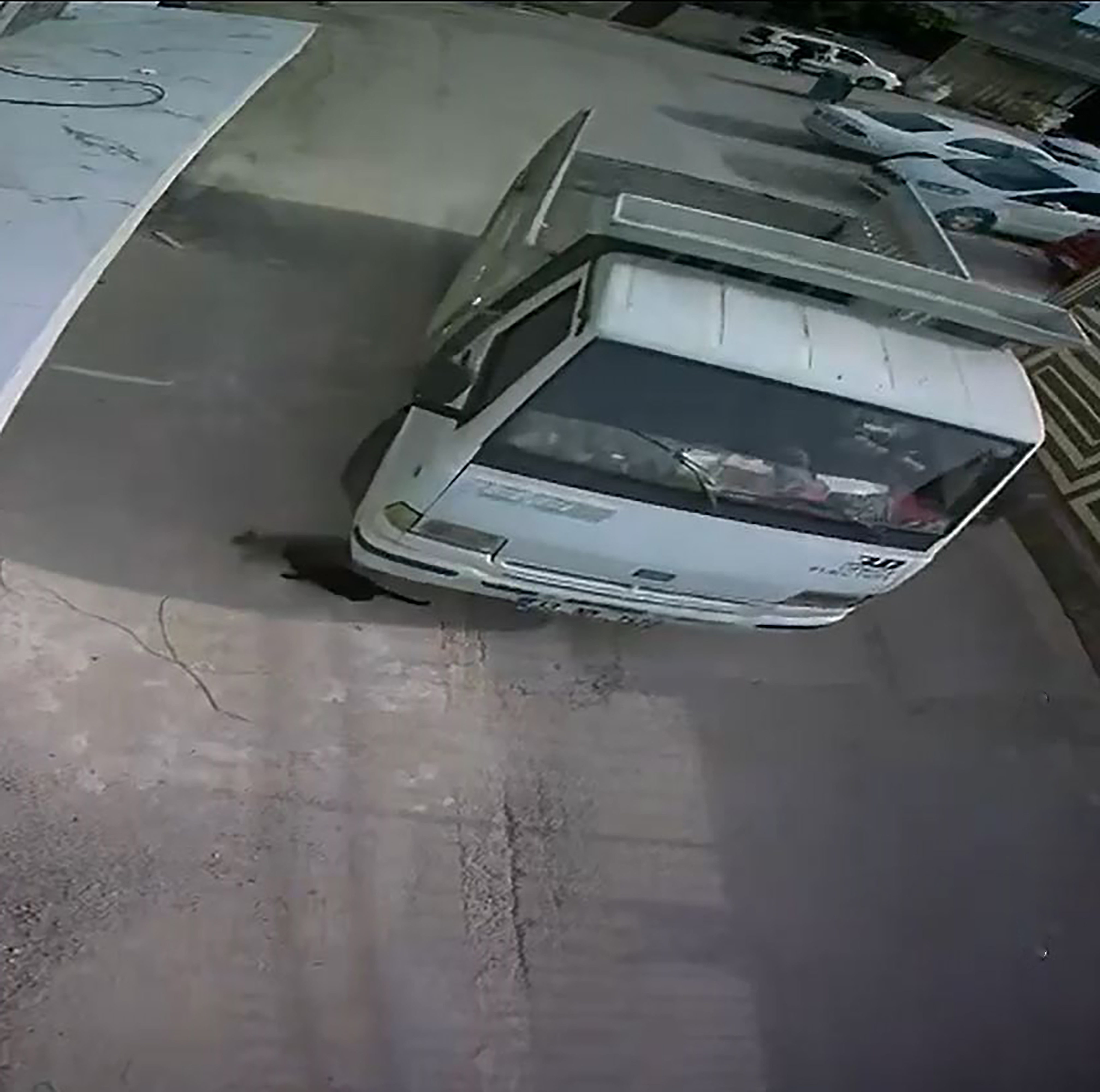 Adana- Kamyonetiyle kediyi ezen sürücüye 1 ay hayvan barınağında çalışma cezası - Görsel 4