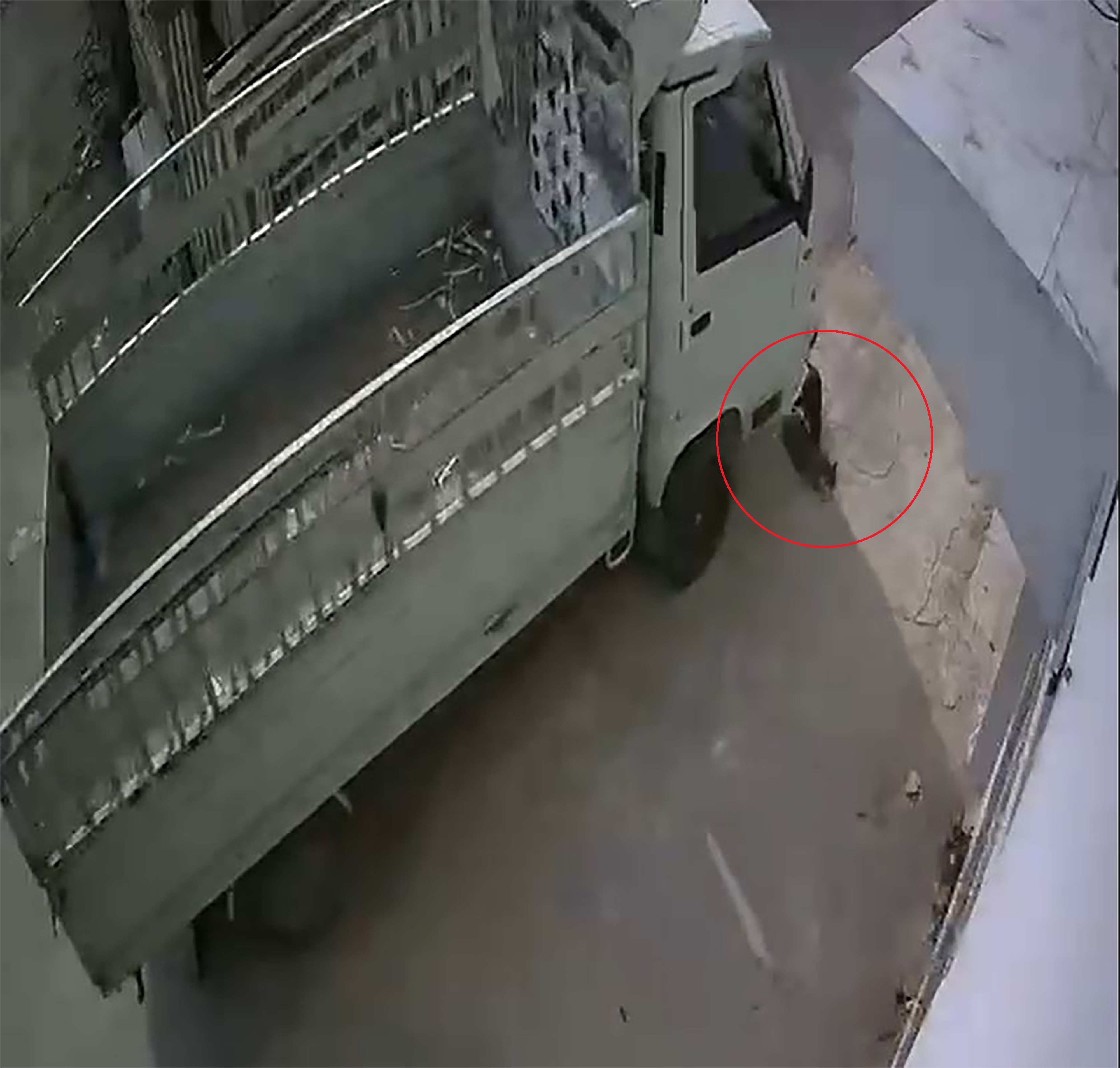 Adana- Kamyonetiyle kediyi ezen sürücüye 1 ay hayvan barınağında çalışma cezası - Görsel 5