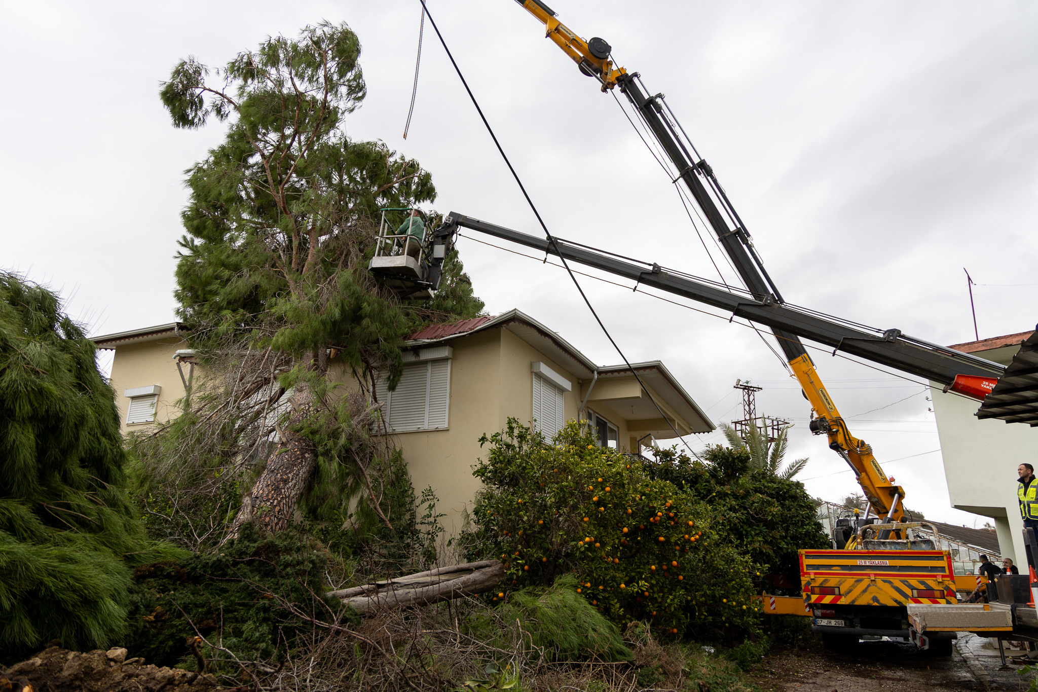 Antalya'da peş peşe hortumlar; seralar yıkıldı, çatılar uçtu - Görsel 1