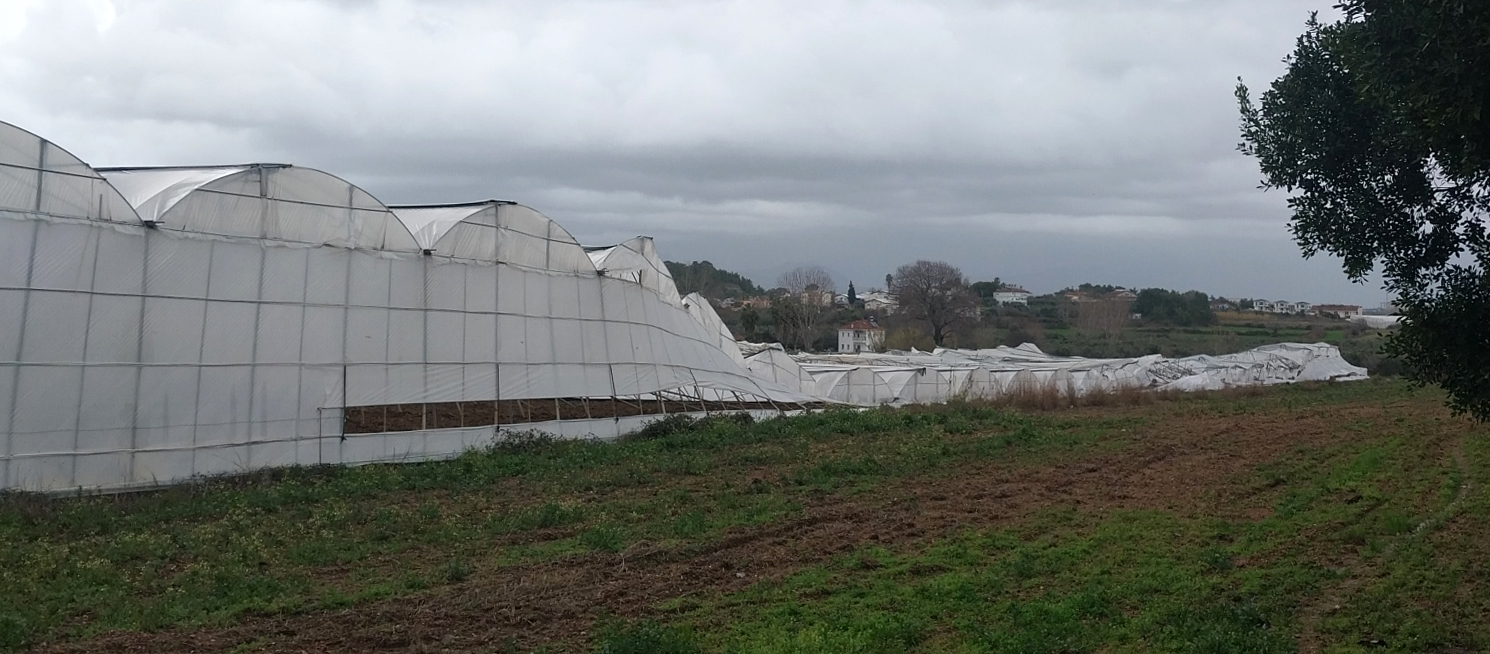 Antalya'da peş peşe hortumlar; seralar yıkıldı, çatılar uçtu - Görsel 3