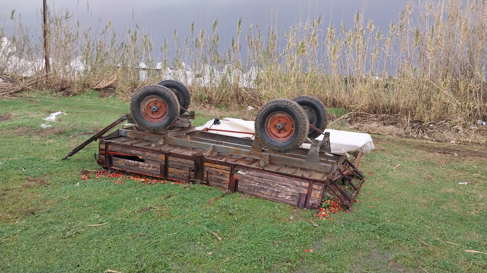 Antalya'da peş peşe hortumlar; seralar yıkıldı, çatılar uçtu - Görsel 5