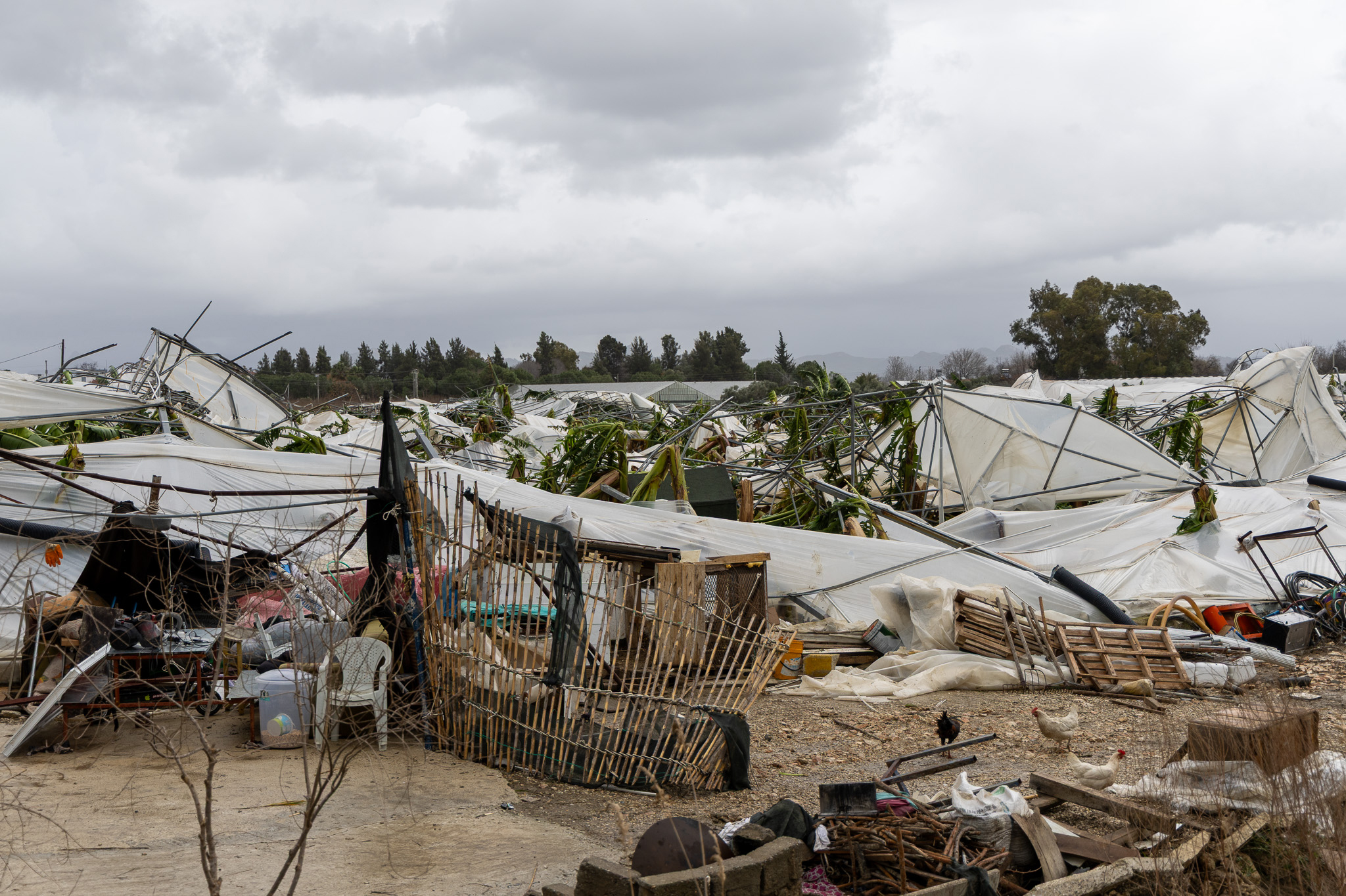 Antalya'da peş peşe hortumlar; seralar yıkıldı, çatılar uçtu - Görsel 10