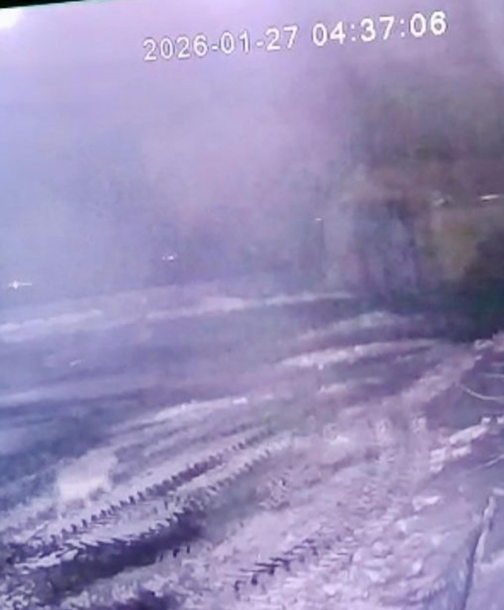 Sisli havada köye inen kurt, ağıldaki 200 koyunu öldürdü - Görsel 4