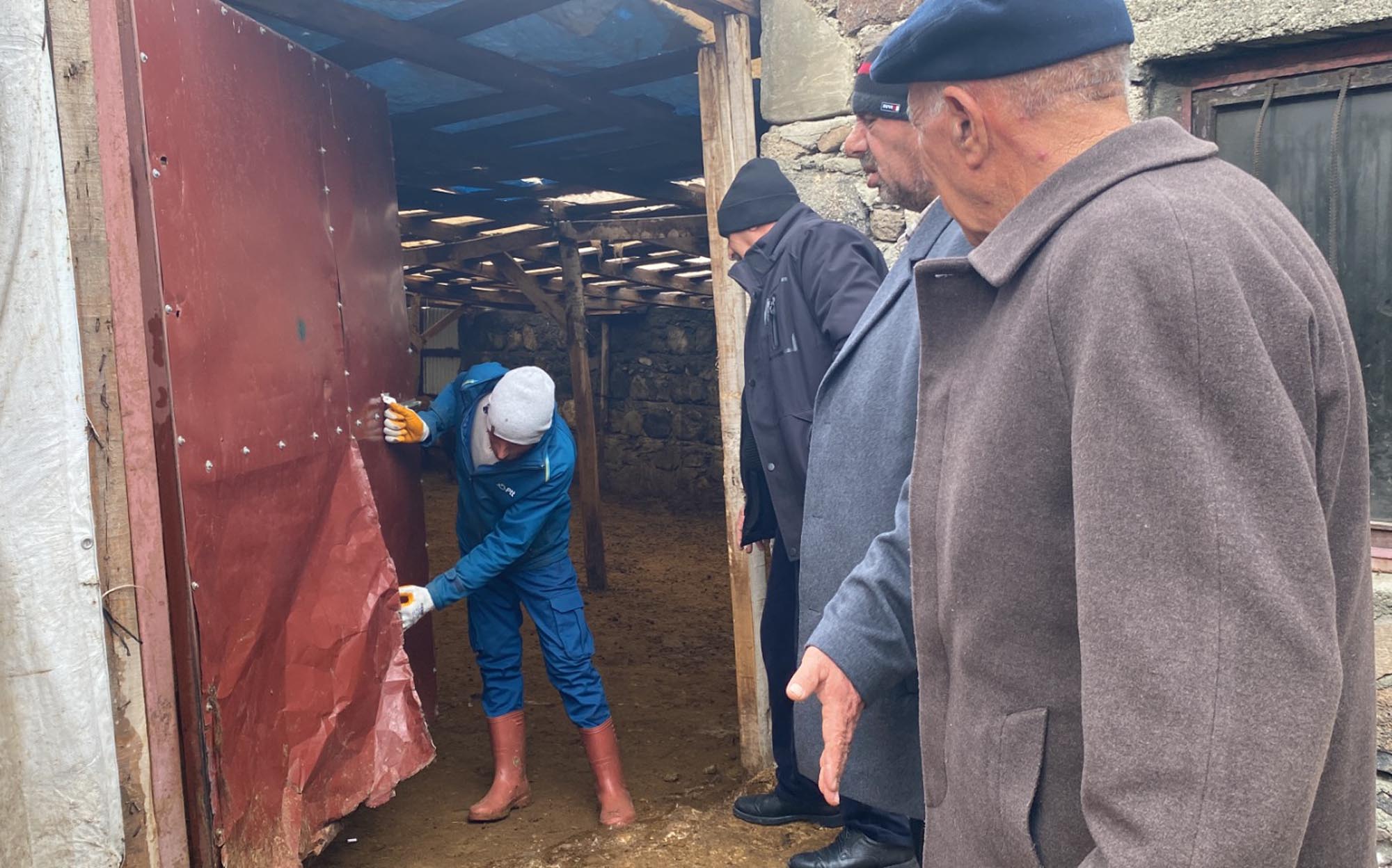 Sisli havada köye inen kurt, ağıldaki 200 koyunu öldürdü - Görsel 8