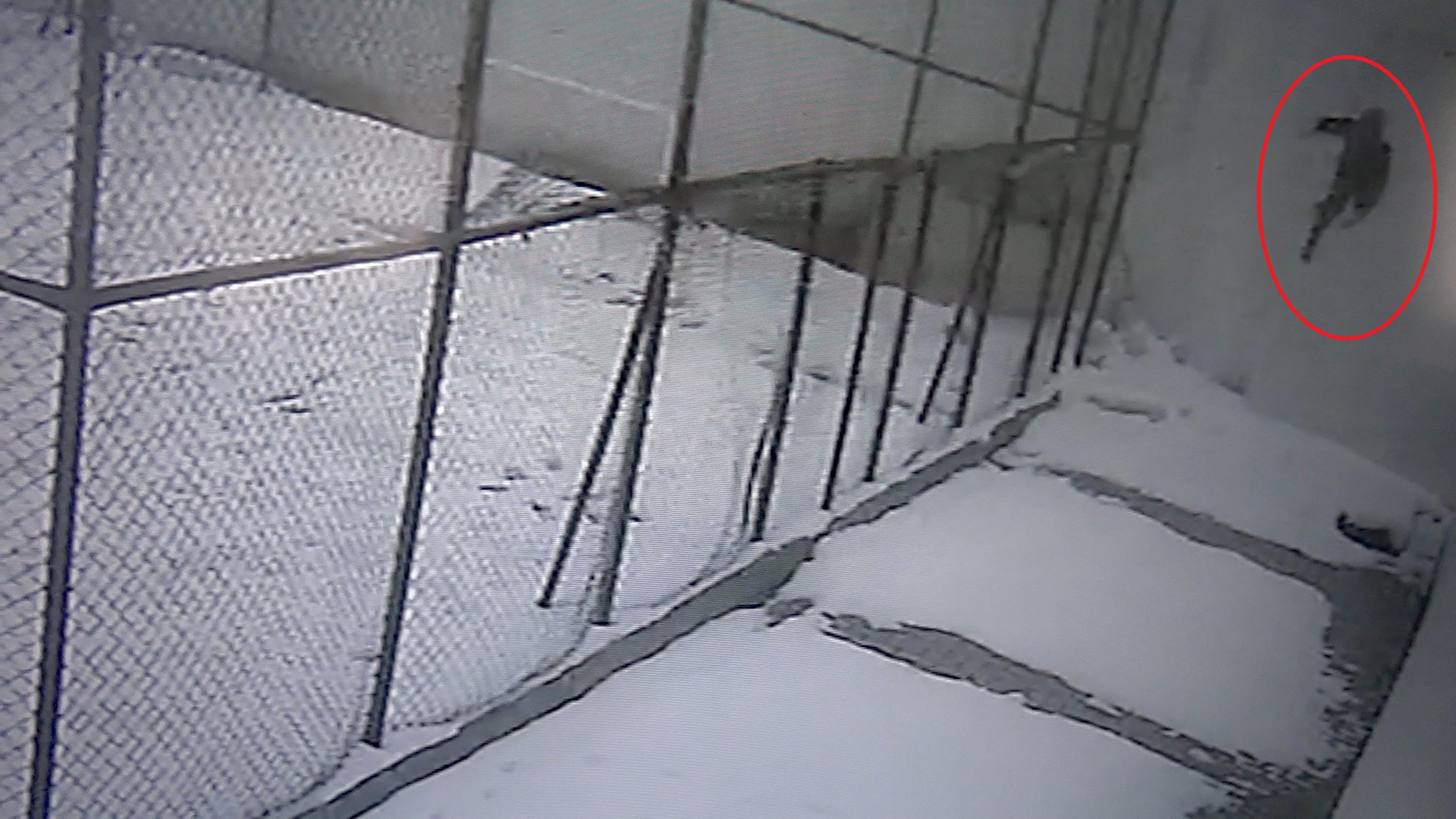 Cam silerken 3’üncü kattan düşen öğretmen yaşamını yitirdi - Görsel 1