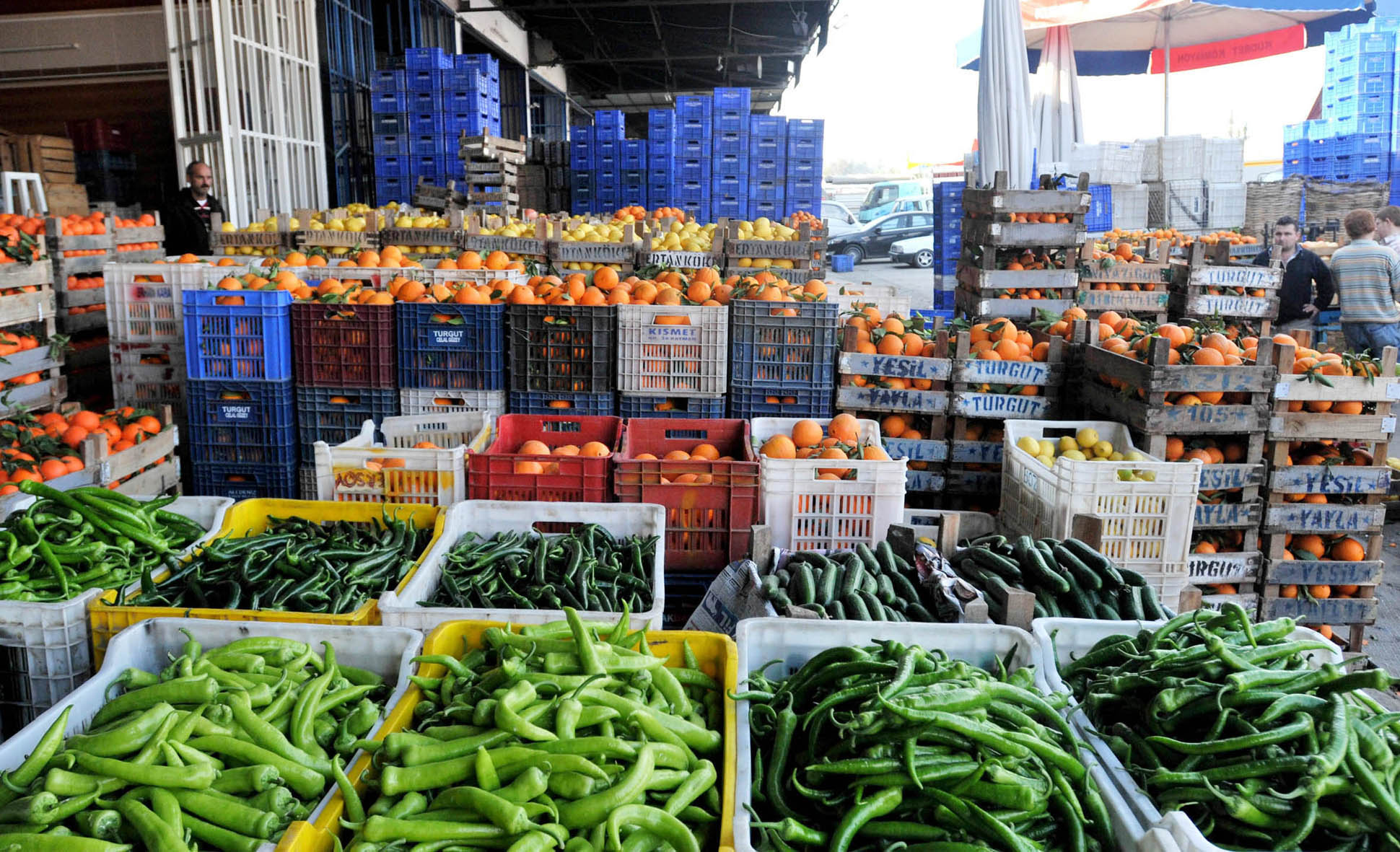 Yağmur ve hortum, sebze-meyveyi vurdu - Görsel 1