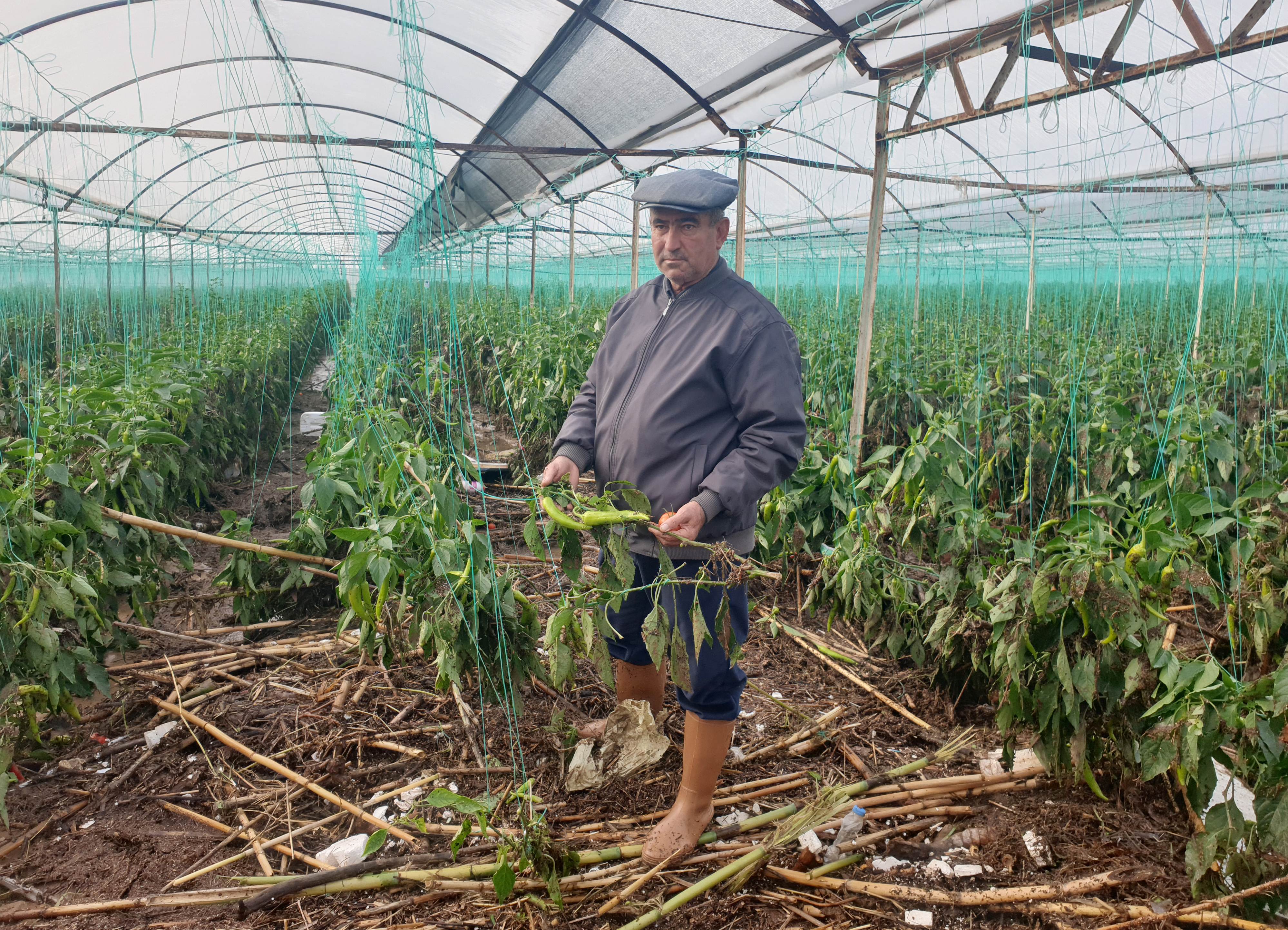 Yağmur ve hortum, sebze-meyveyi vurdu - Görsel 9