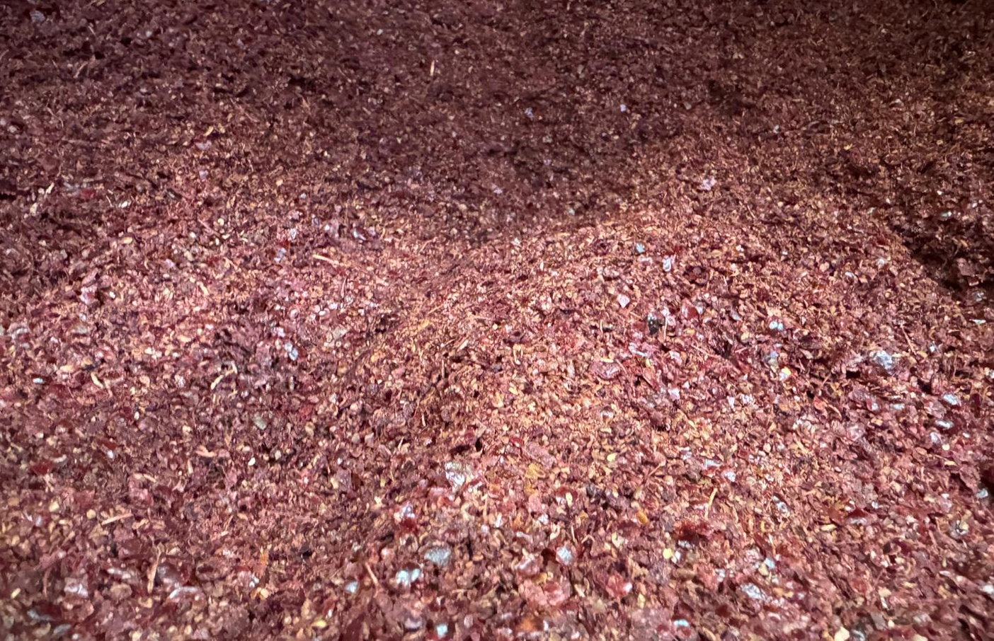 Konya-'Baharat sektörü tağşişe çok açık' - Görsel 3