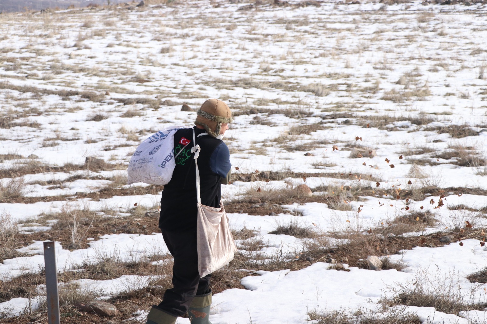 Kayseri’nin ‘Ağaç Dede’si 1 milyondan fazla fidanı toprakla buluşturdu - Görsel 2