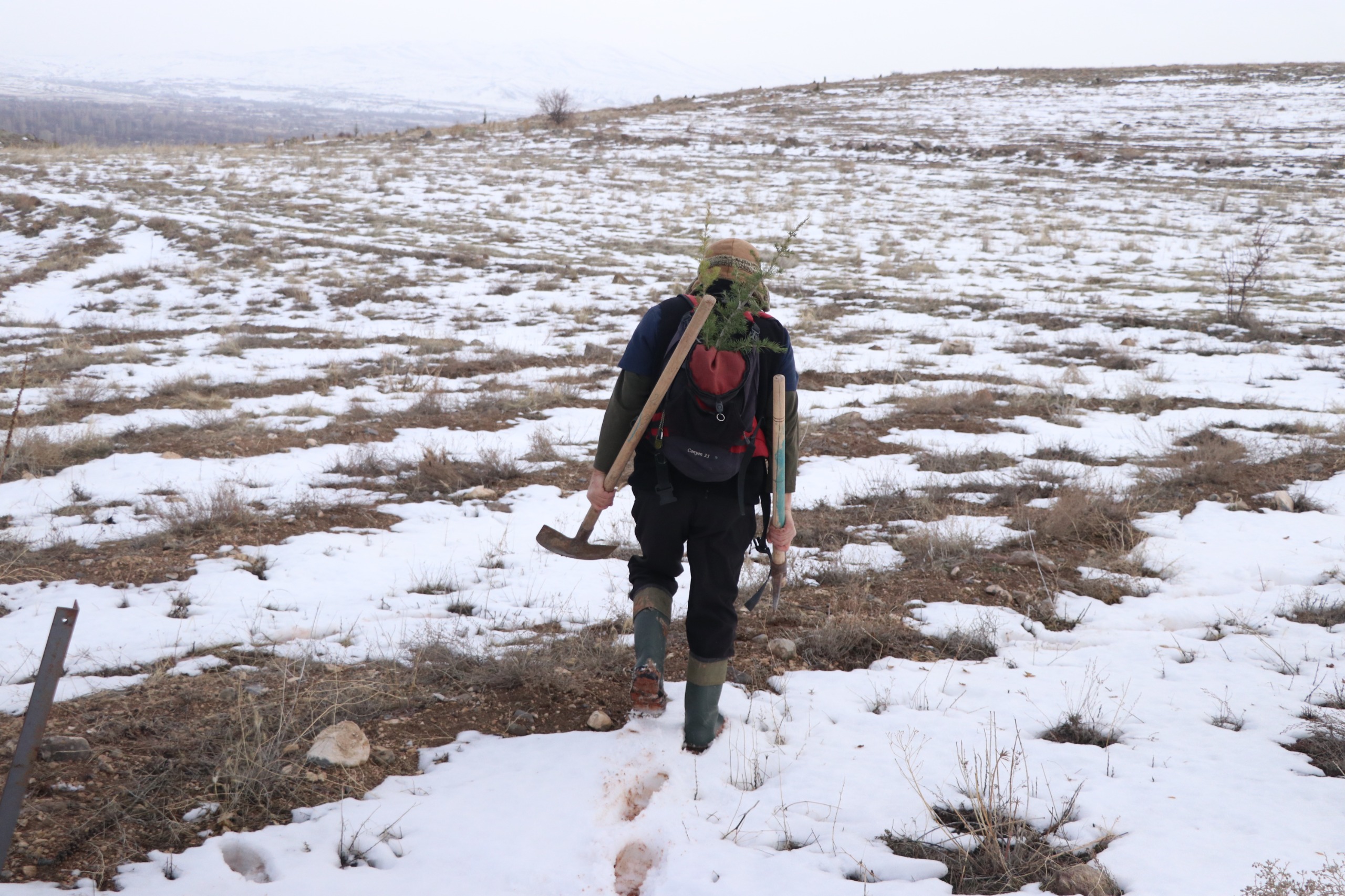 Kayseri’nin ‘Ağaç Dede’si 1 milyondan fazla fidanı toprakla buluşturdu - Görsel 4