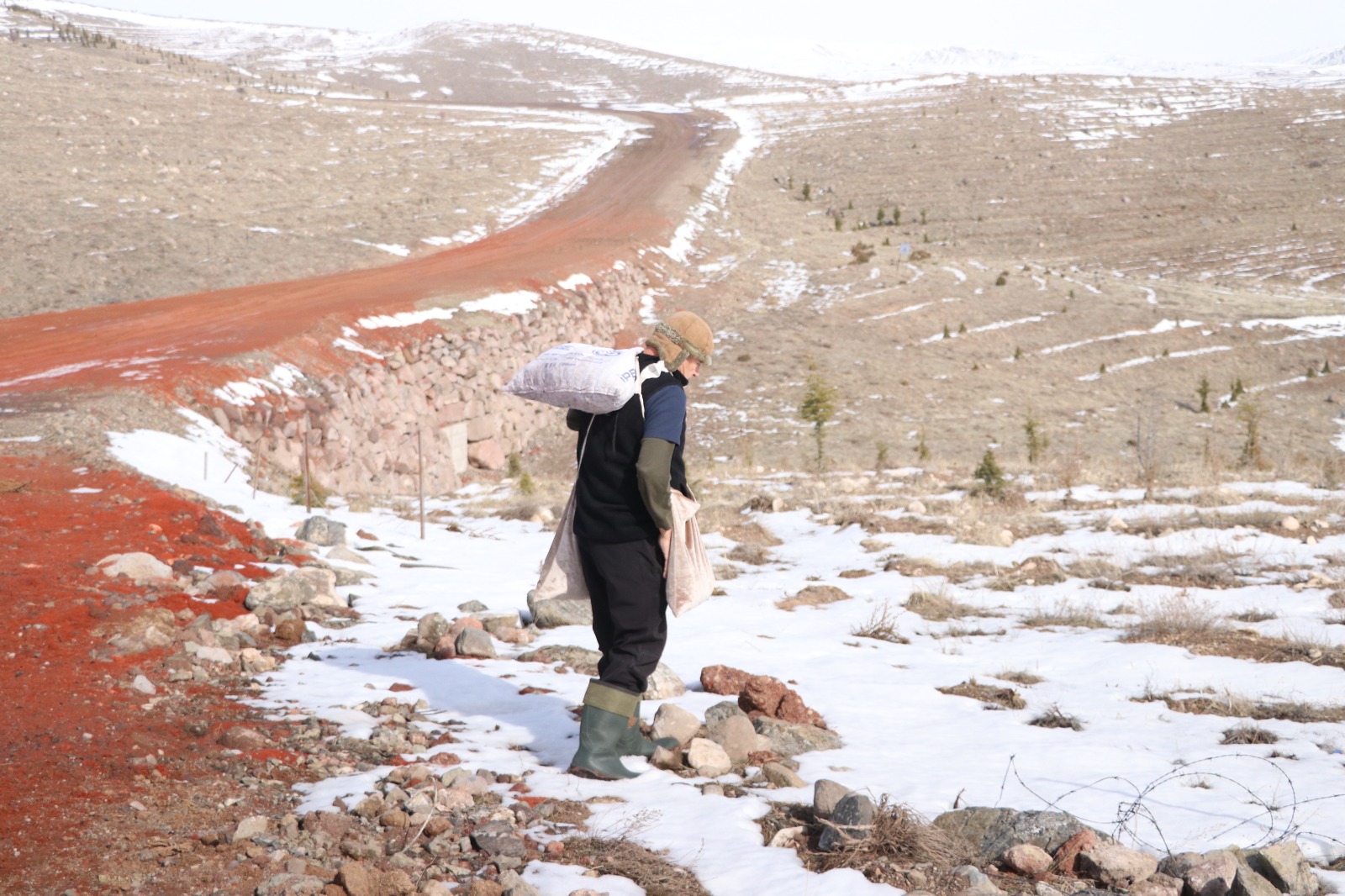 Kayseri’nin ‘Ağaç Dede’si 1 milyondan fazla fidanı toprakla buluşturdu - Görsel 10