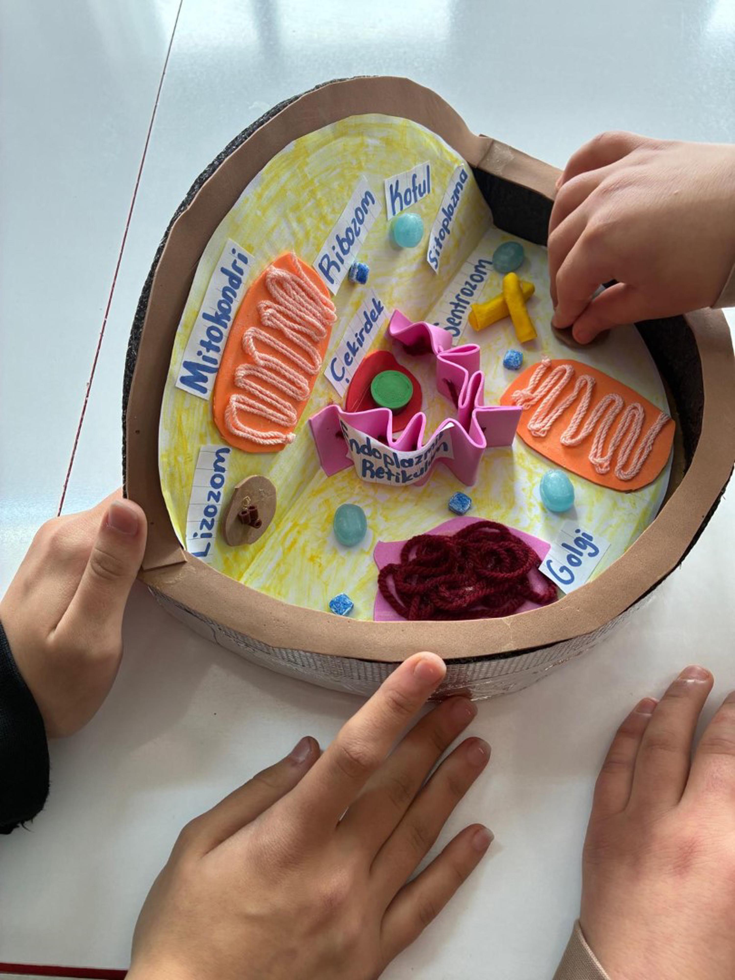 Görme engelli Seda öğretmenden 'Dünya parmaklarının ucunda' projesi - Görsel 7