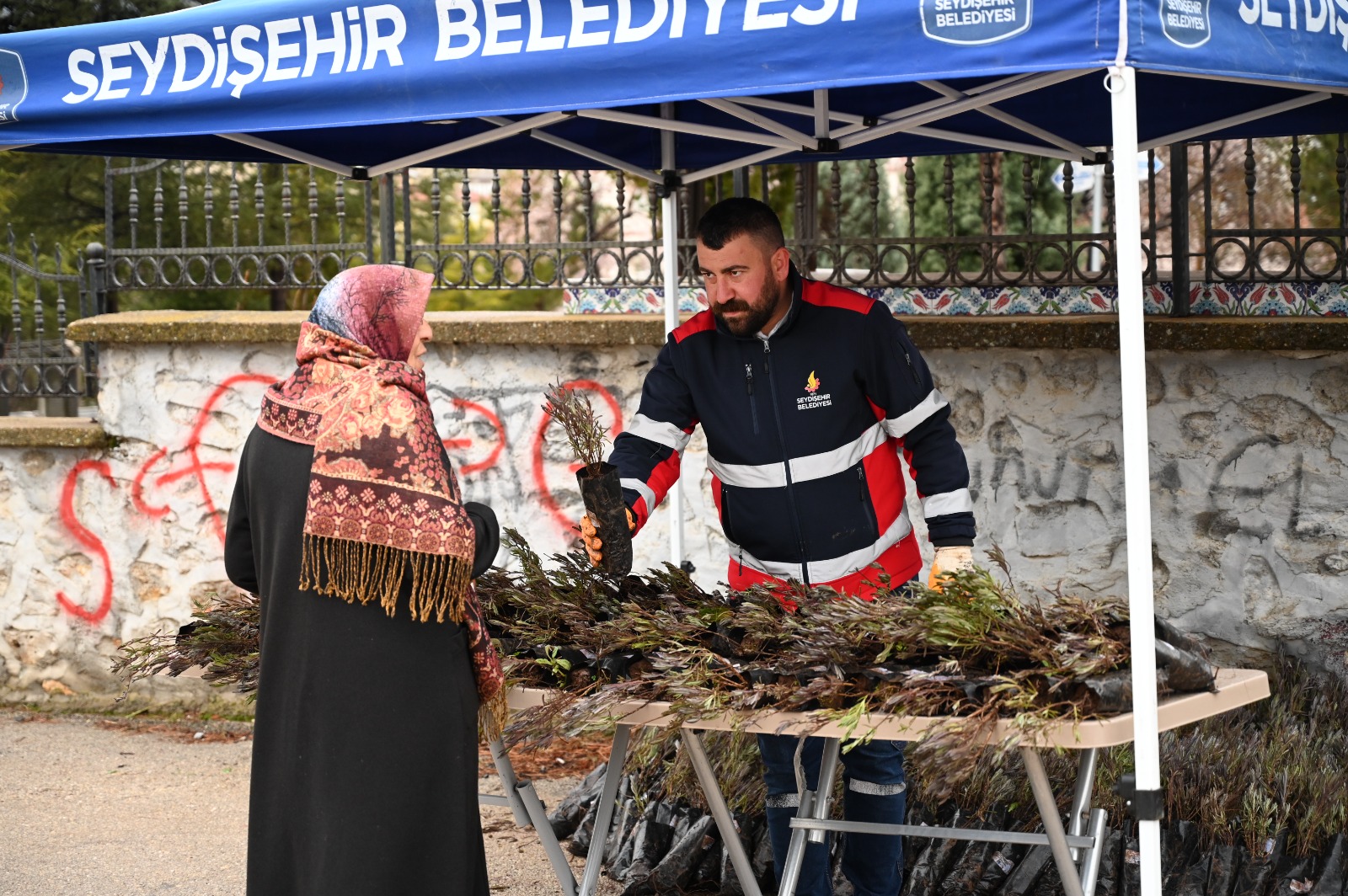 BELEDİYEDEN MEZAR ZİYARETİNE GELENLERE LAVANTA FİDESİ  - Görsel 2