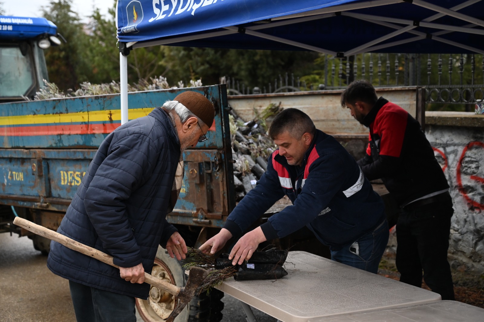 BELEDİYEDEN MEZAR ZİYARETİNE GELENLERE LAVANTA FİDESİ  - Görsel 4