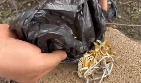 Kuyumcu dükkanından ziynet eşyası çalıp, eşekle kaçan sanığa 16 yıla kadar hapis istemi - Görsel 8