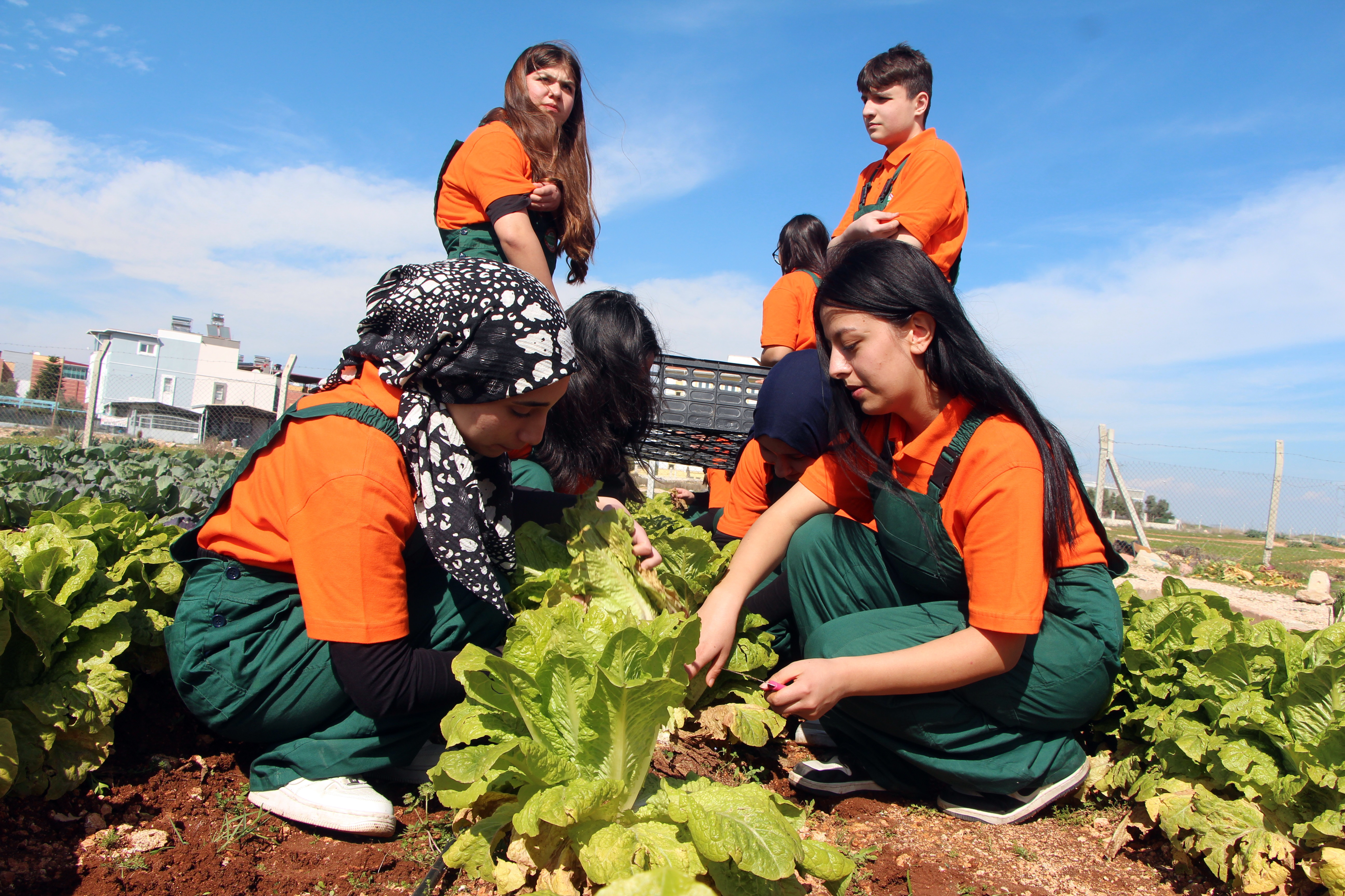 Çukurova’da geleceğin ziraatçileri tarım lisesinde yetişiyor - Görsel 5