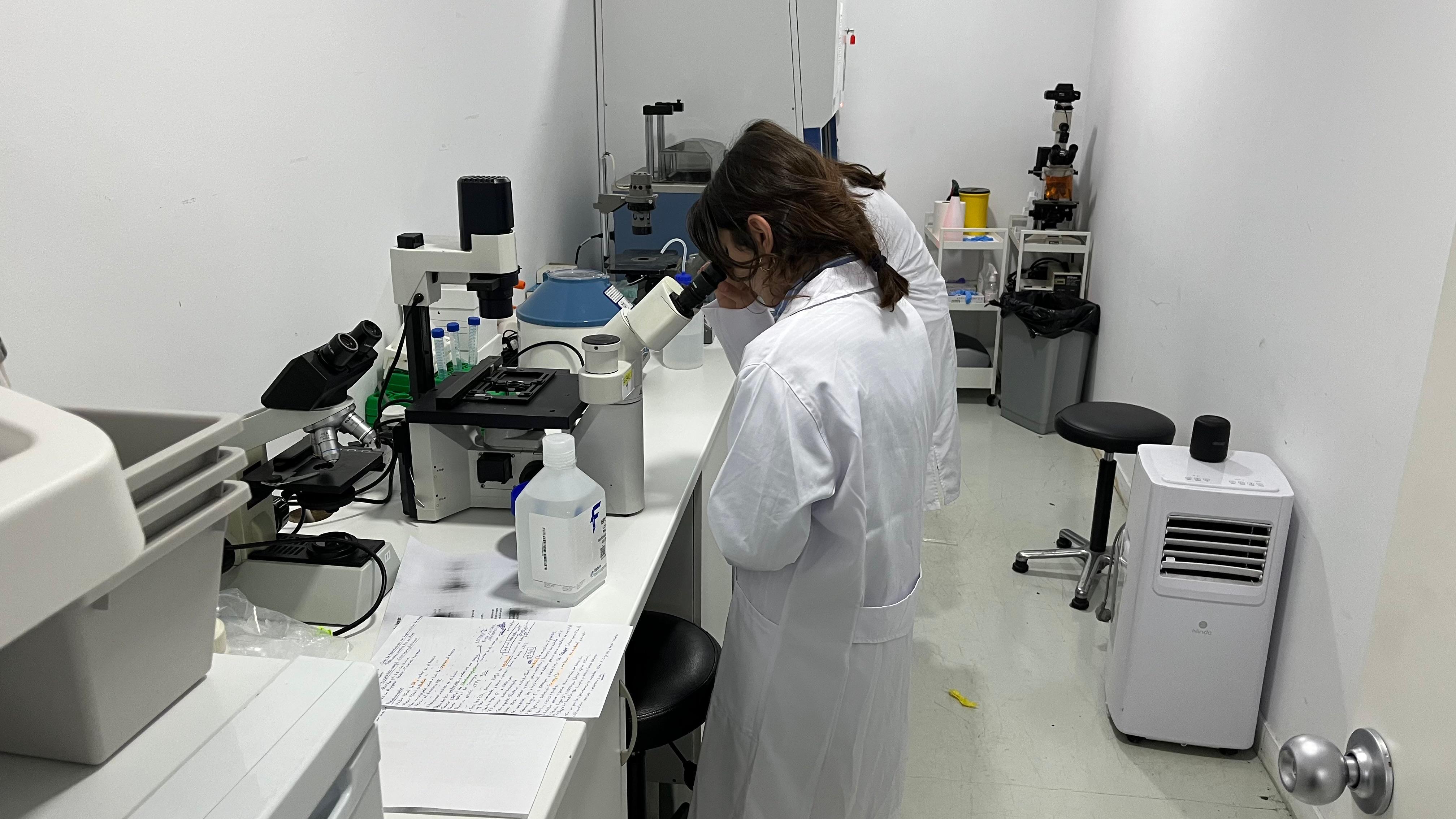 ENDÜSTRİ MESLEK LİSESİ KİMYA ÖĞRENCİLERİ İSPANYA’DA ERASMUS PROJESİ EĞİTİMİNDE. - Görsel 4