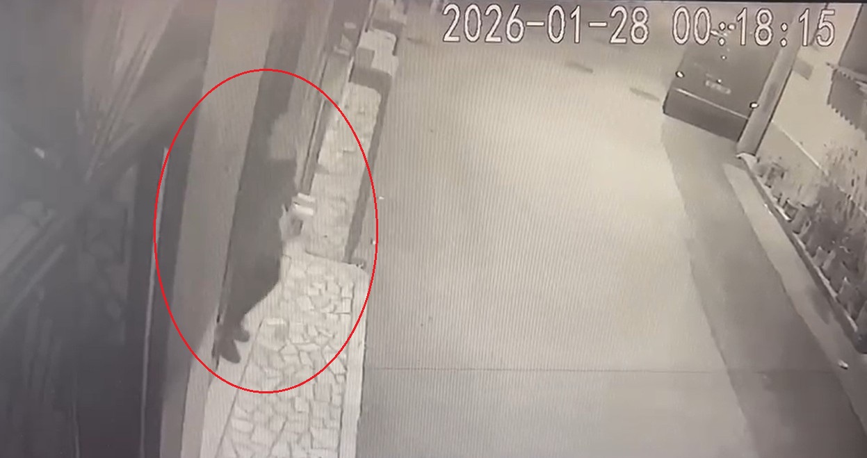 Kayıp ihbarında bulunduğu 75 yaşındaki emekli polis eşini öldürüp, satır ve bıçakla 15 parçaya ayırmış - Görsel 6