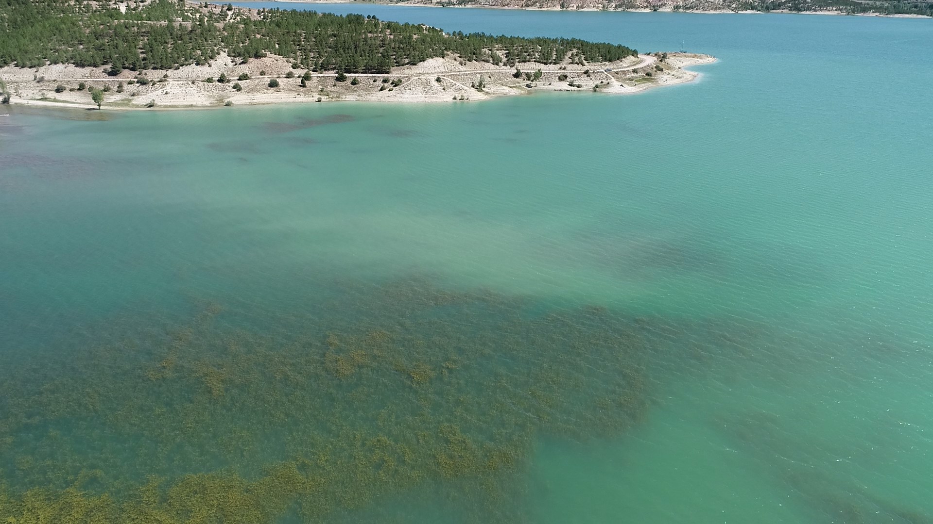 Konya- Prof. Dr. Baştaş: Yapay zekanın, 2027 yılında 6 milyar metreküp su tüketmesi bekleniyor - Görsel 2